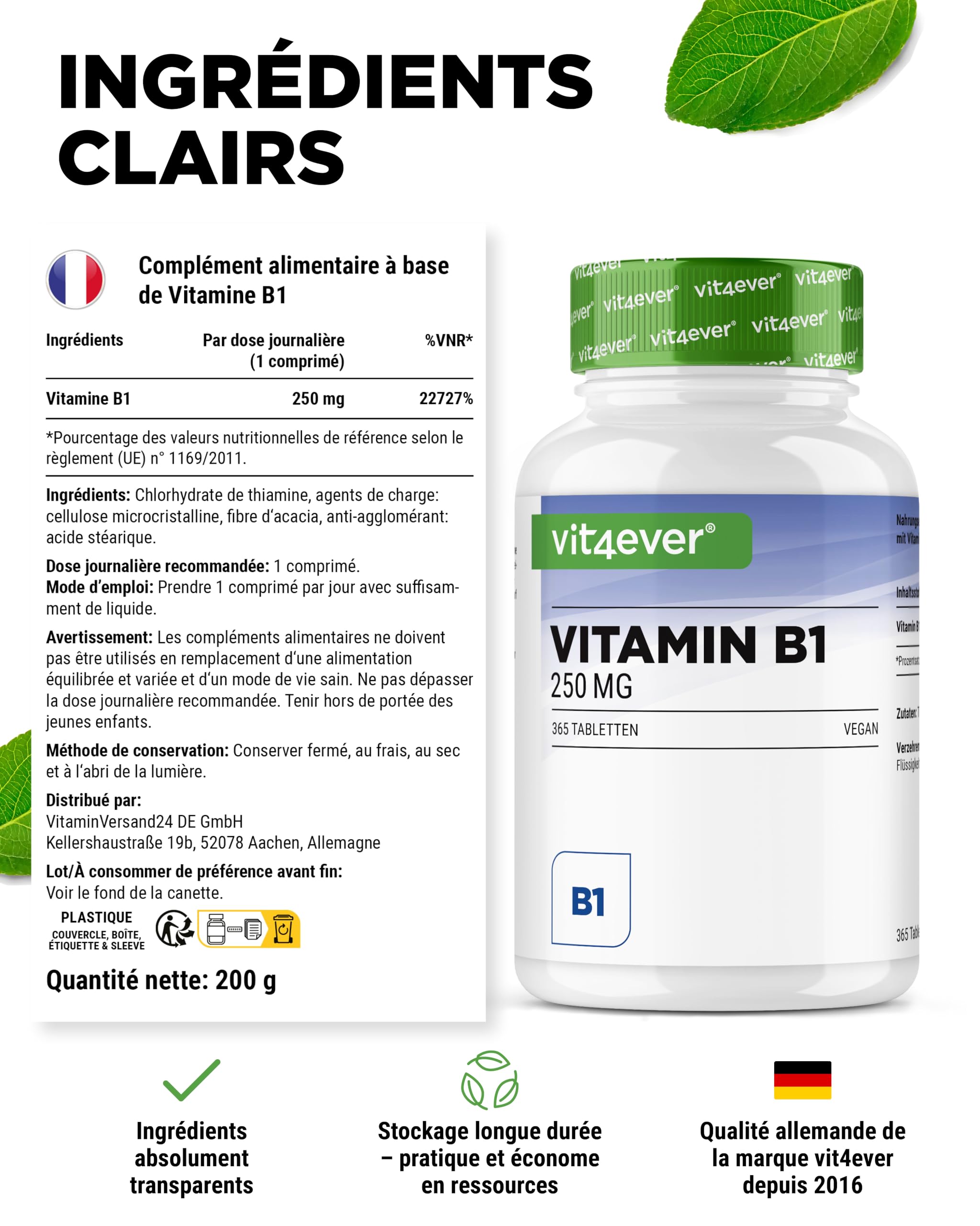 Vitamine B1 (Thiamine) - 250 mg - 365 Comprimés - Premium : Thiamine Hydrochloride - Haute biodisponibilité - Réserve de 12 mois - Sans additif indésirable - Vegan