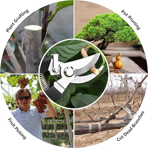 Miniatura 6 de Tijeras de jardín para plantas, tijeras de podar de punta para cortar flores, recortar plantas, bonsái y recolección de frutas (podadora de cuchilla