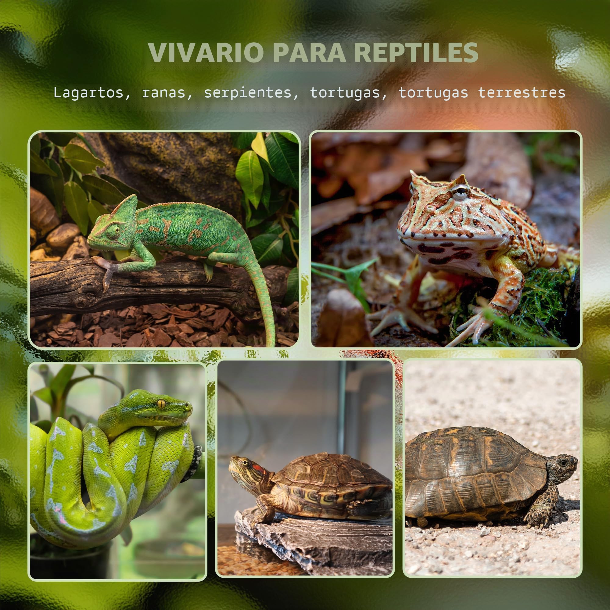 PawHut Terrario de vidrio para reptiles, vivero de reptiles con fondo de piedra, ventilación frontal, cerradura de botón a prueba de fugas, recinto de vidrio para lagartos, ranas con cuernos