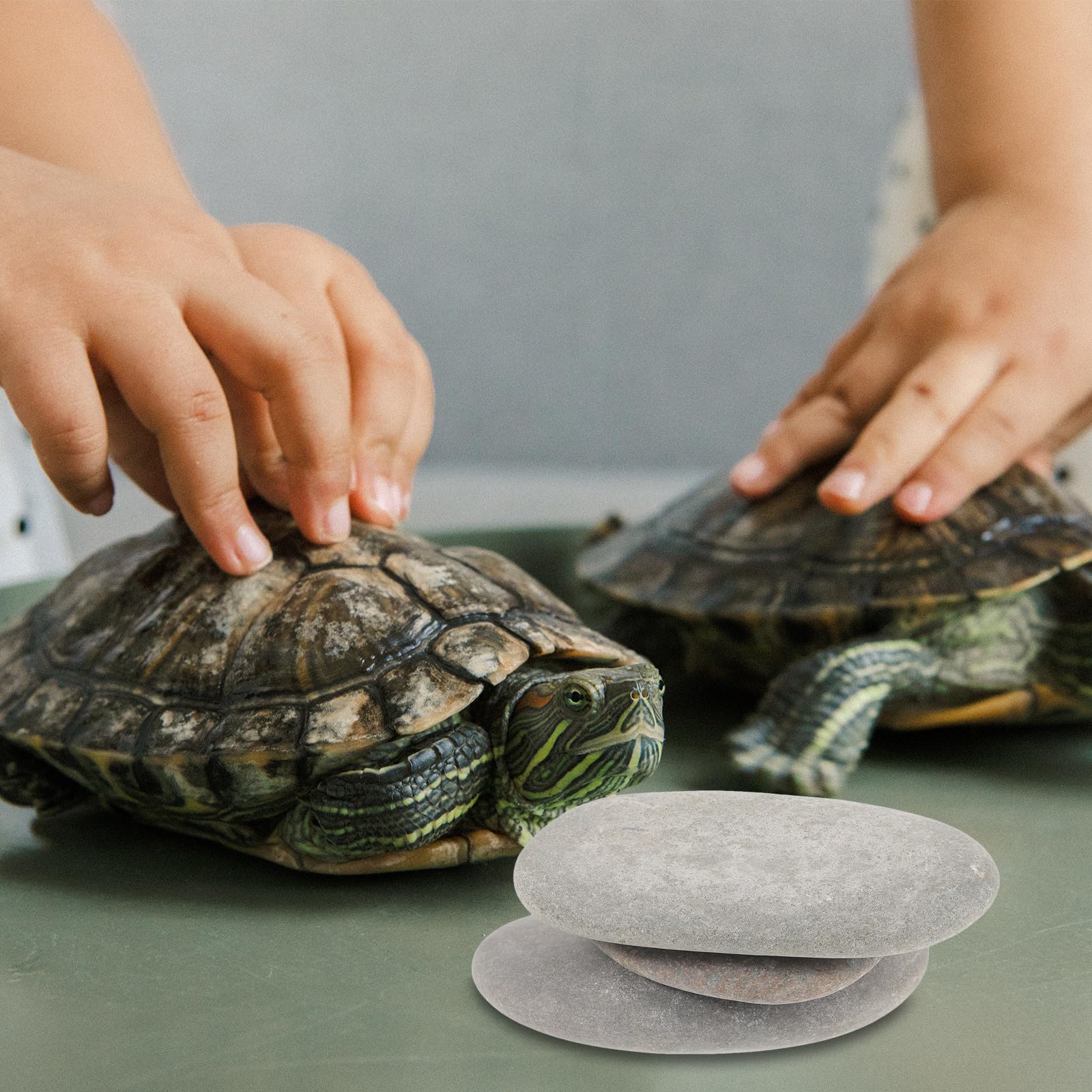3 Stück Schildkrötenzubehör aus Stein mit Flacher Oberfläche als Sichere Sonnenplattform und Aquariumdekoration für Reptilienhabitate Zufällige Farbe