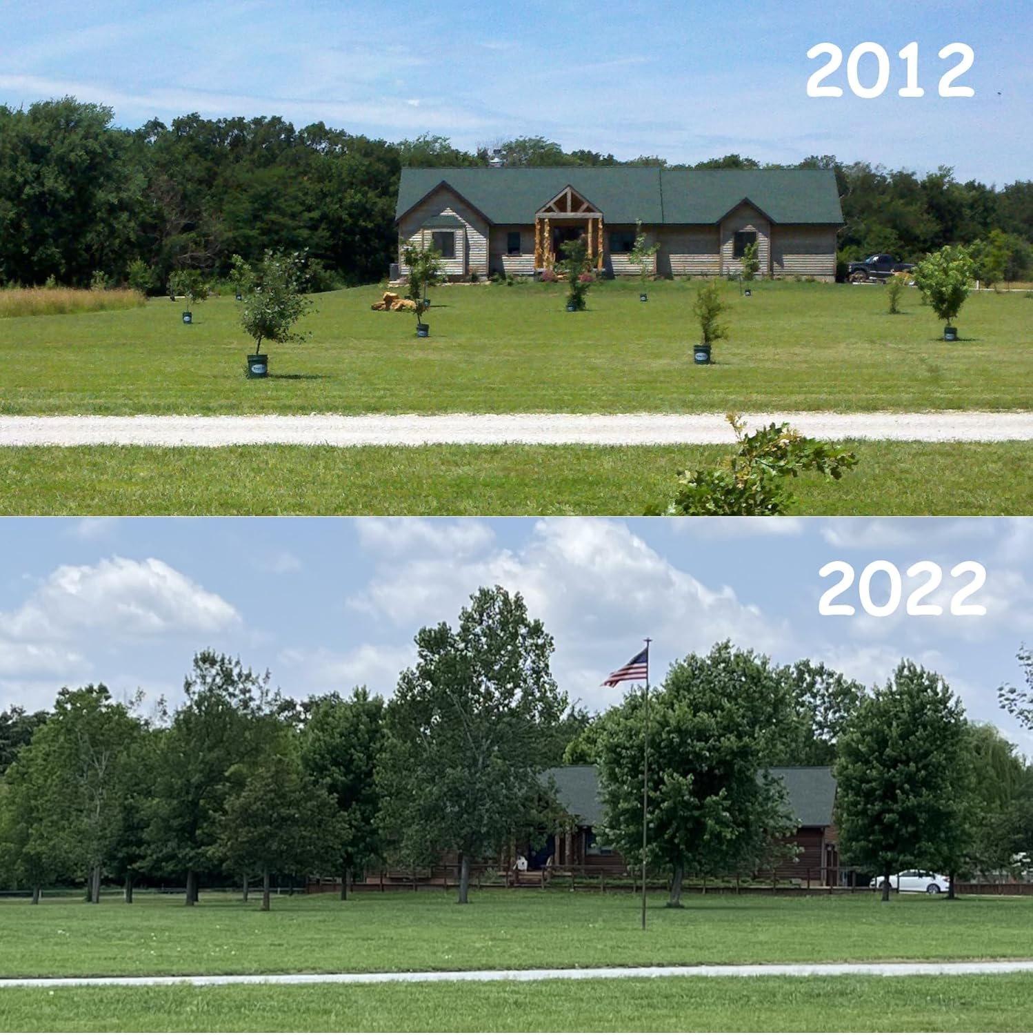 Tree I-V 6-Pk Original Base Root Feeder Watering System - Durable Self-Supported 5-Gal Reservoir with No-Hands Filling - Water 6 Trees in 6 Minutes - Weekly