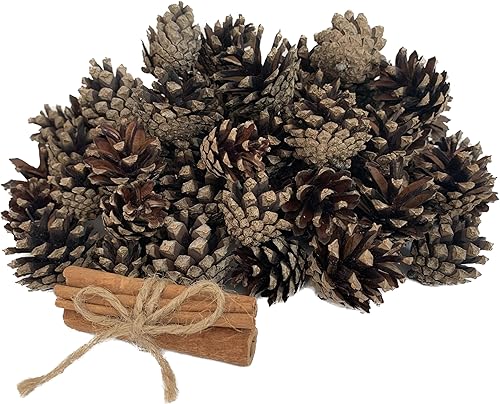 Conos de pino perfumados para decoraciones navideñas, paquete de 30 piñas pequeñas y 3 palitos de canela para manualidades y relleno de jarrón,
