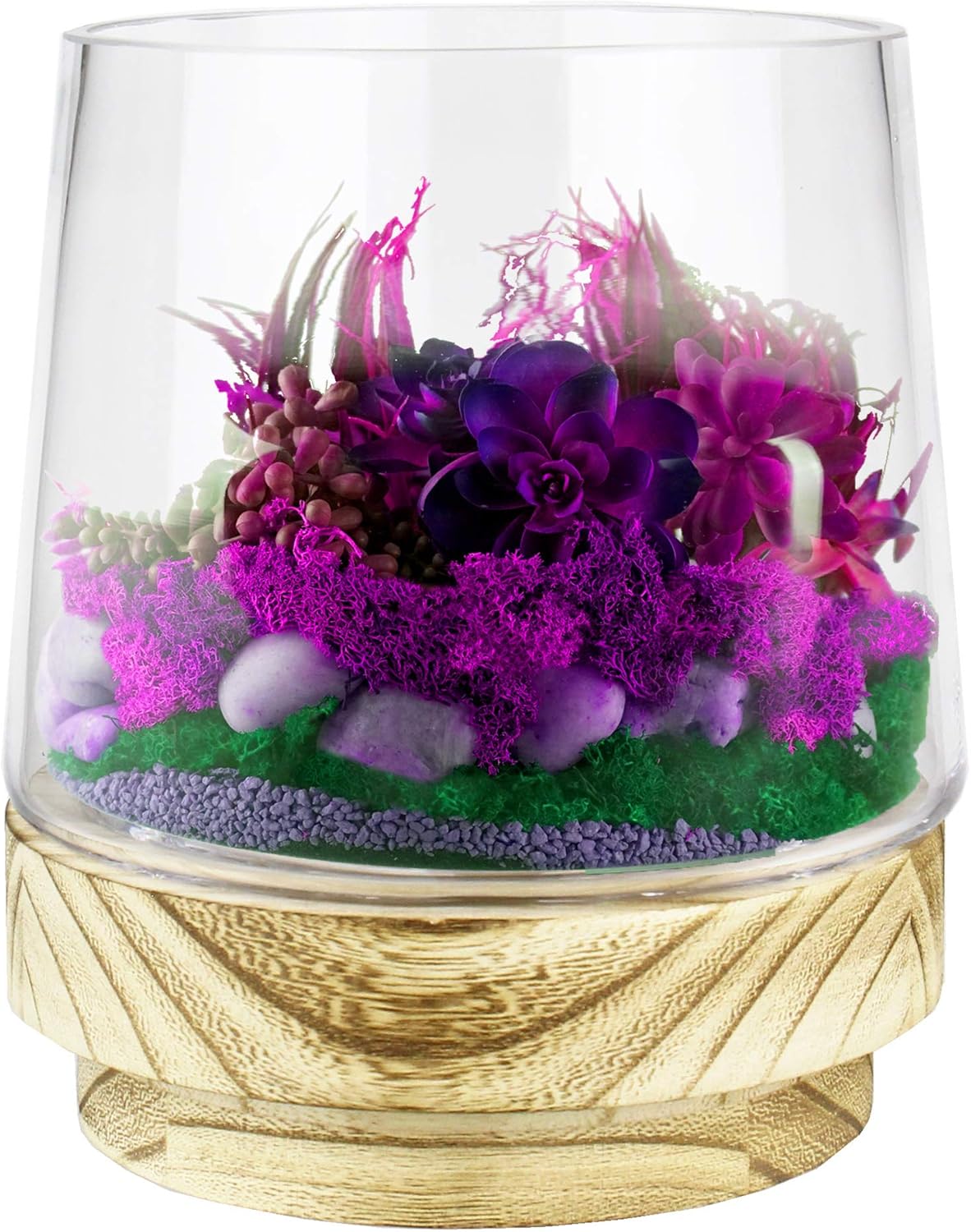 CYS EXCEL Terrarium Vase on Wood Base Stand, H8", Width5" Planter