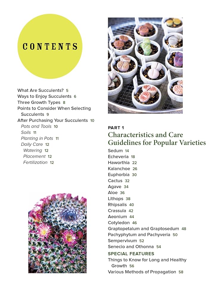 多肉植物全書 All about SUCCULENTS 多肉植物全書 All about SUCCULENTS : パワポン・スパナンタナー