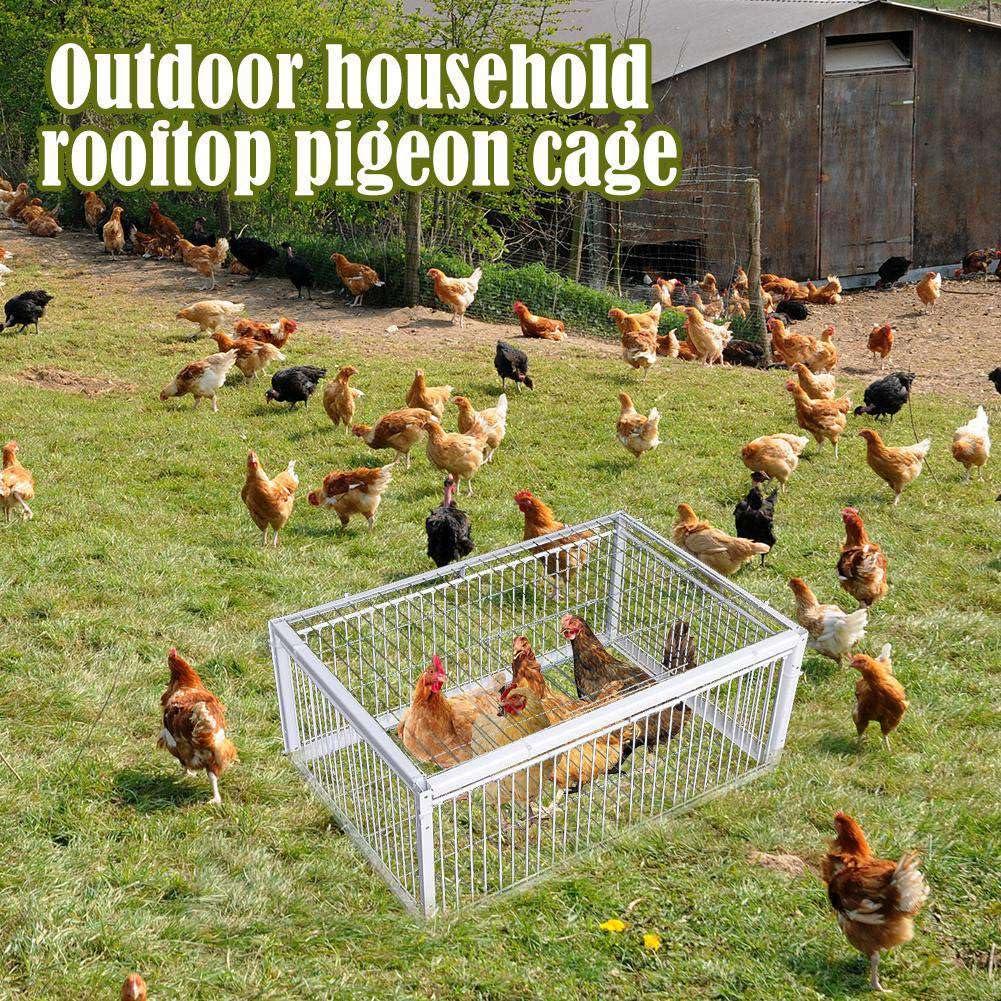 Cage à Oiseaux Portable, Petite, Épaisse et Cryptée, Piège Automatique pour la Collecte des Pigeons