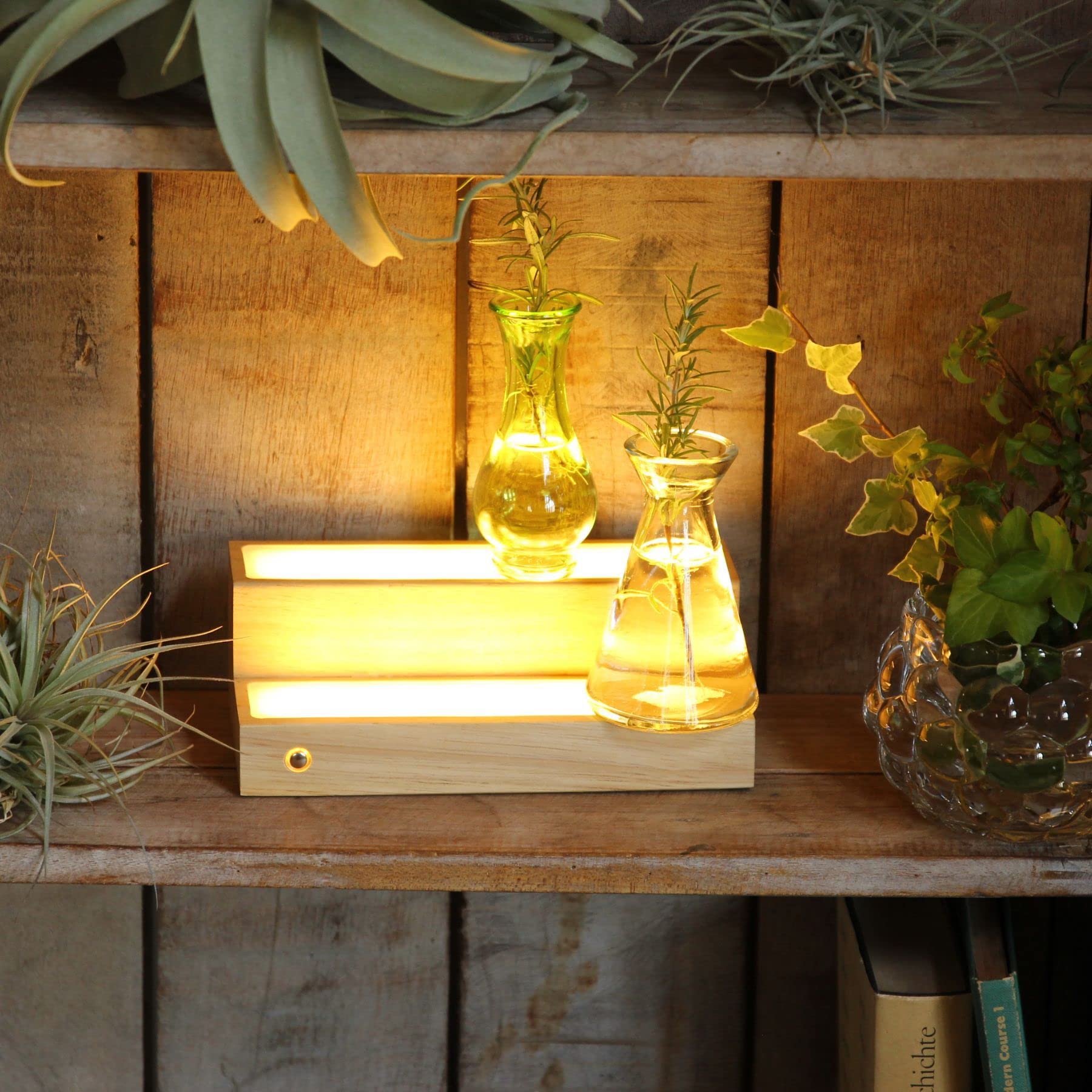 Amazon.co.jp: SPICE OF LIFE(スパイス) コレクション LEDディスプレイ