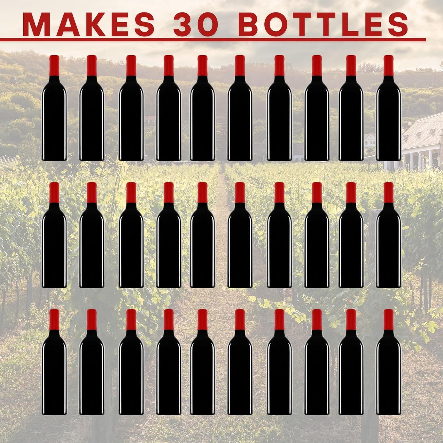 Master Vintner™ Winemaker's Reserve™ Cabernet Sauvignon Wine Recipe Kit Makes 6 Gallons