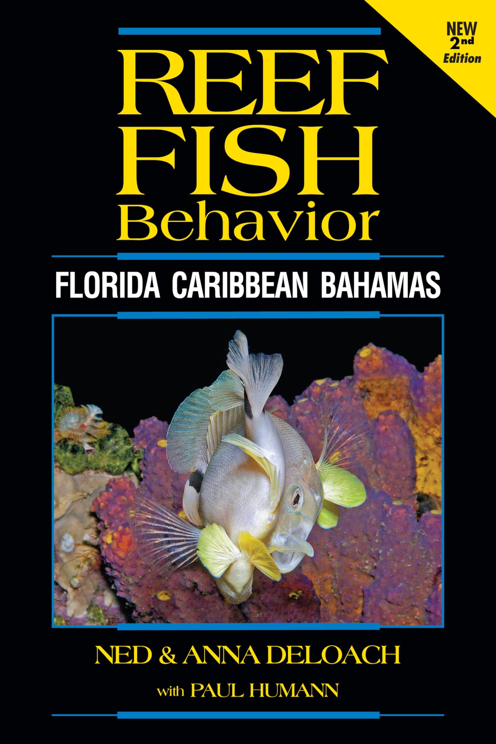 Reef Fish Behavior: Florida Caribbean Bahamas