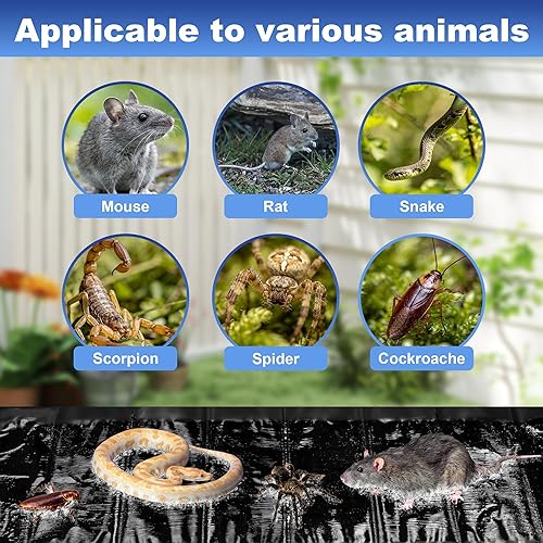 Miniatura 6 de Trampas adhesivas para ratones interiores para el hogar, trampas adhesivas para ratas, extra grandes, para exteriores, trampa de roedores para