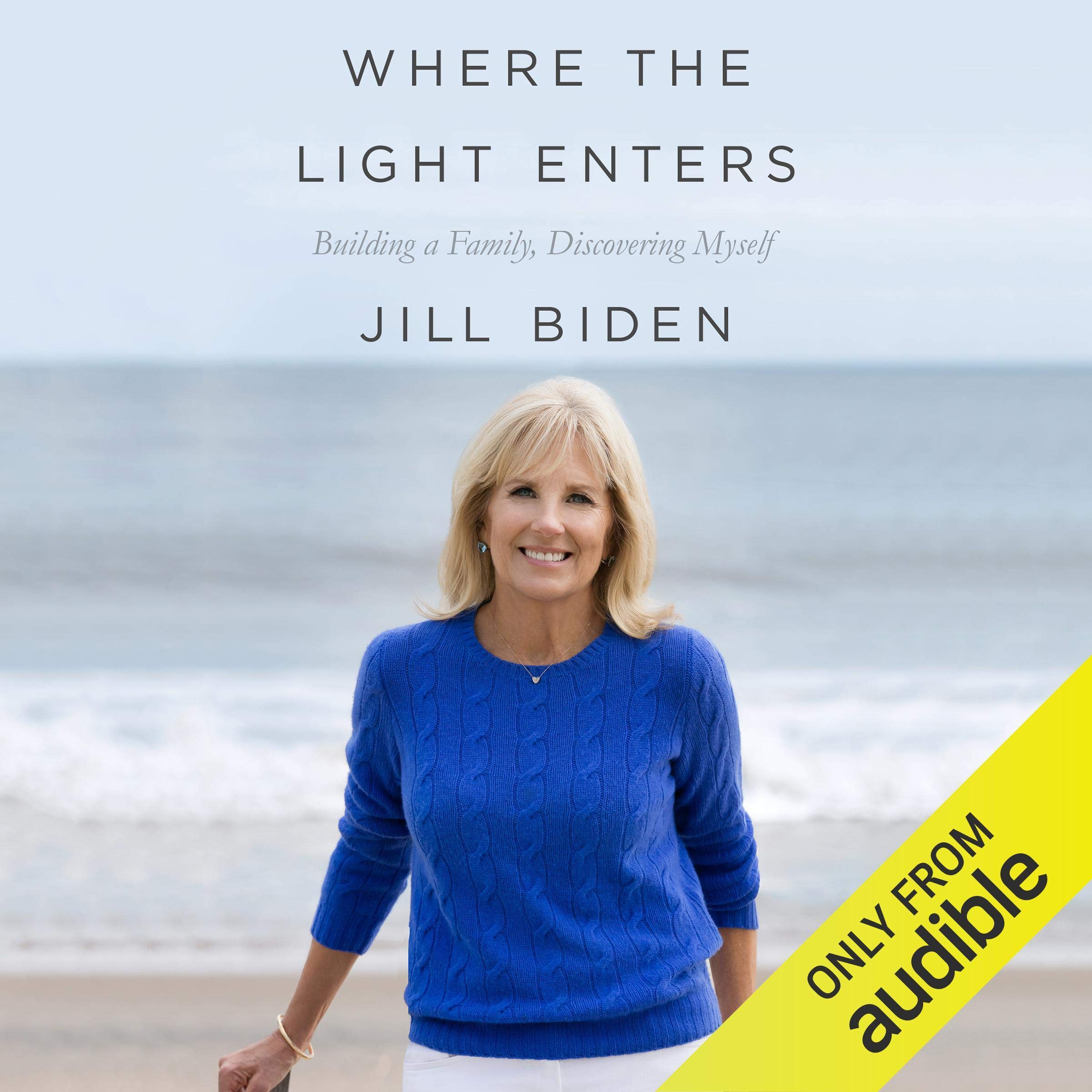 Cover art for Where the Light Enters