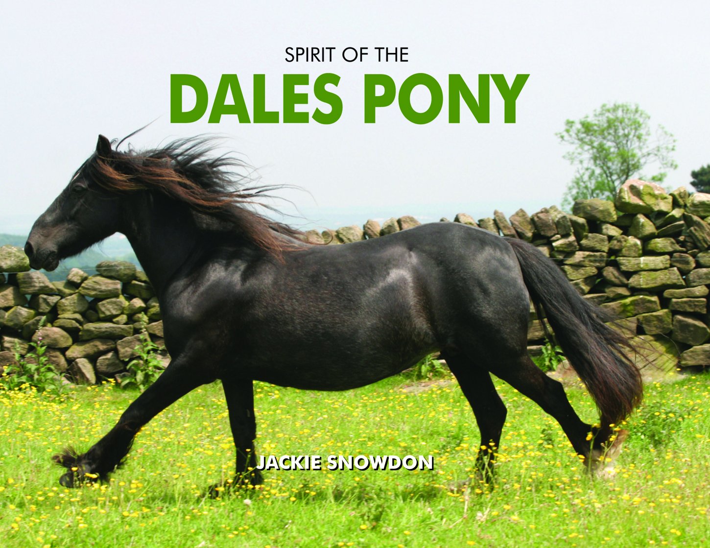 Spirit of the Dales Pony by Jackie Snowdon HARDBACK 9781906887940