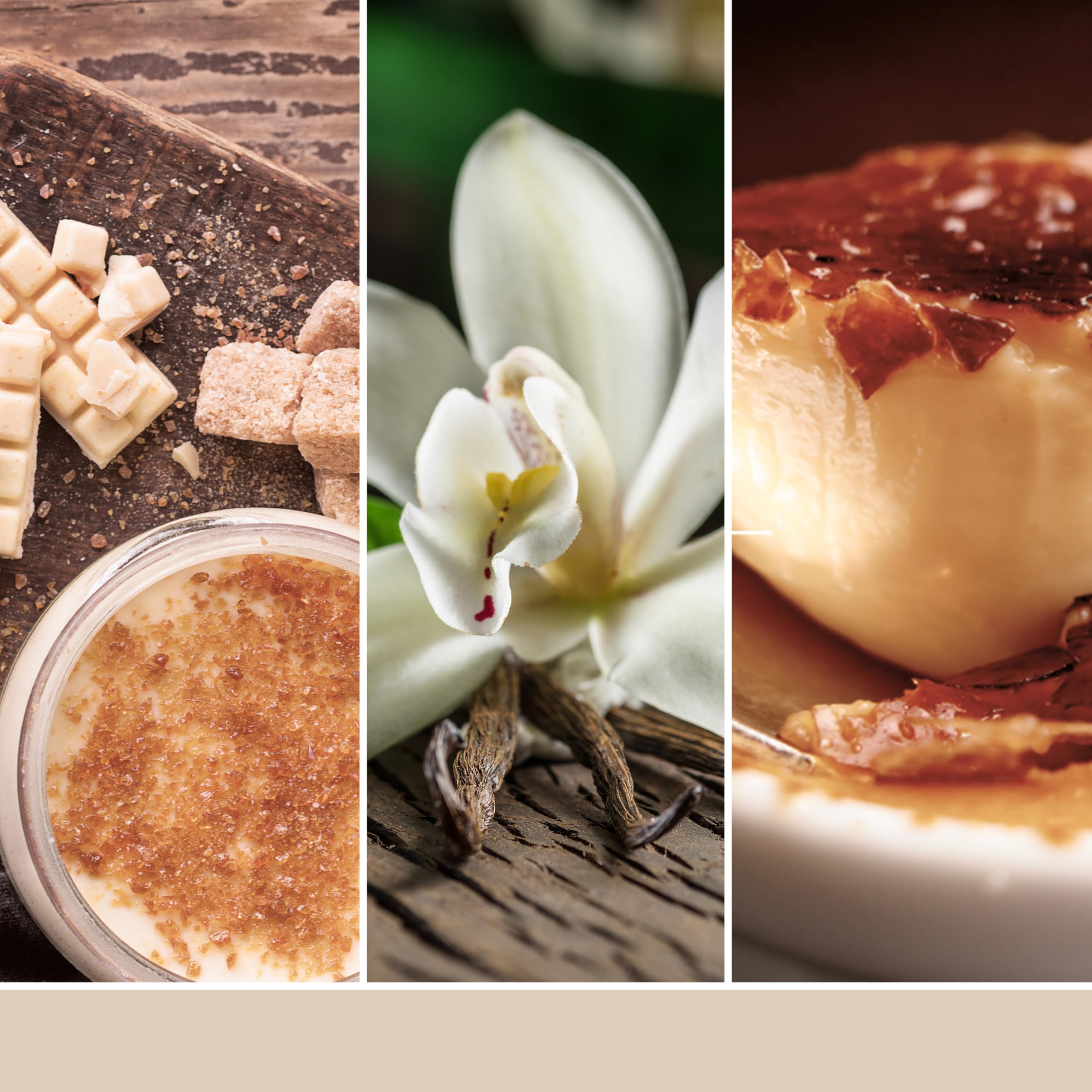 Yankee Candle Studio Vela perfumada | Vela mediana de vainilla crème brûlée | Larga duración: 35-50 horas | Elegante diseño de recipiente de cristal con cera beige | Regalos perfectos para mujeres