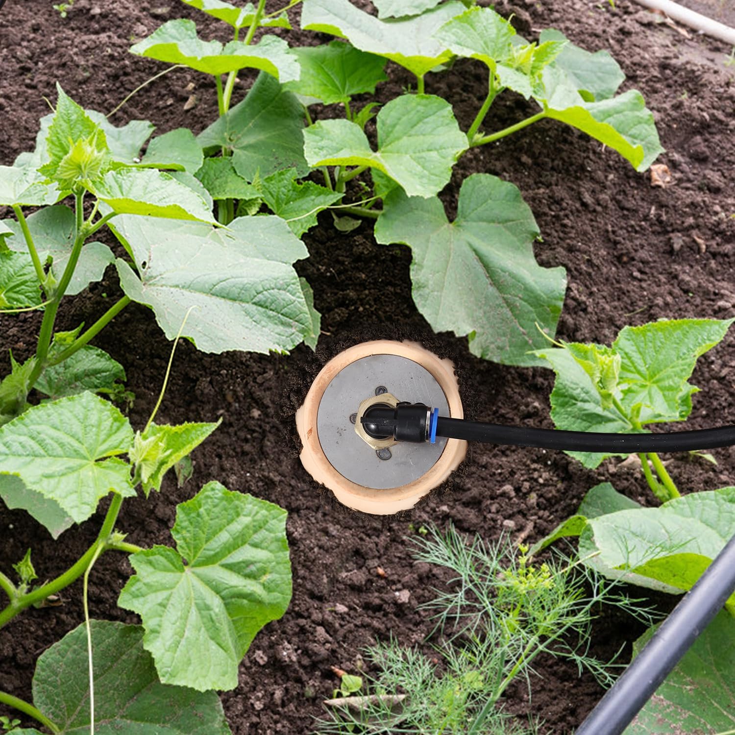 6pcs Ollas IIrrigation System Large Classic Self-Watering Ollas Self Watering 41oz Olla Watering System 4x4x8in Classic Plant Watering Stakes Vacation Plant Watering Devices image 5