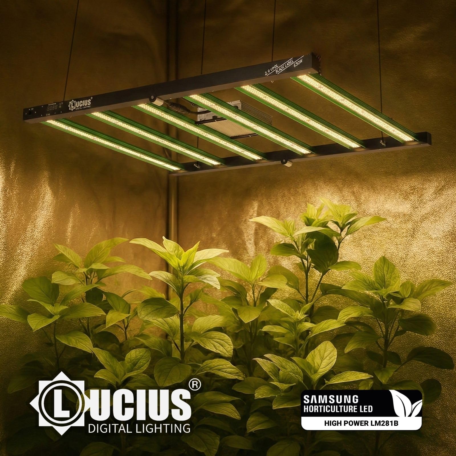 LUCIUS - Lámpara LED de 630W 2.9 Master Control - Cultivo espectro completo Crecimiento/Floración, UV IR, Función Anochecer/Amanecer, Regulable, Invernaderos y plantas interior, hortalizas y flores