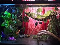 Review Image by lisa greer lisa greer