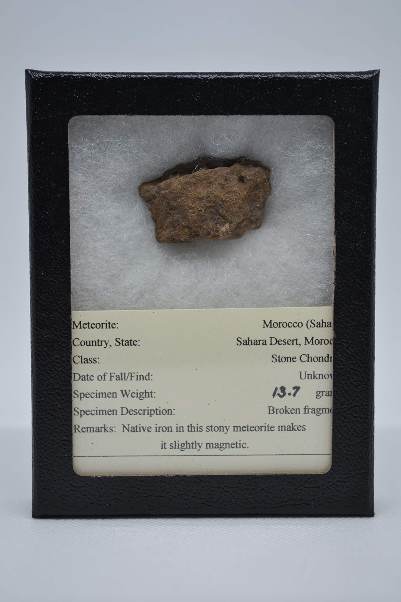 Rocksbury Place Morocco Meteorite
