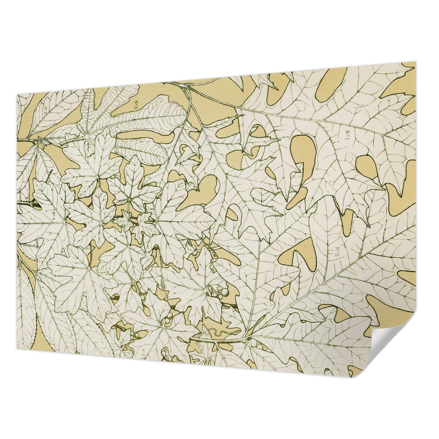 Papel tapiz adhesivo 152x104 moderno de hojas de árbol para decoración