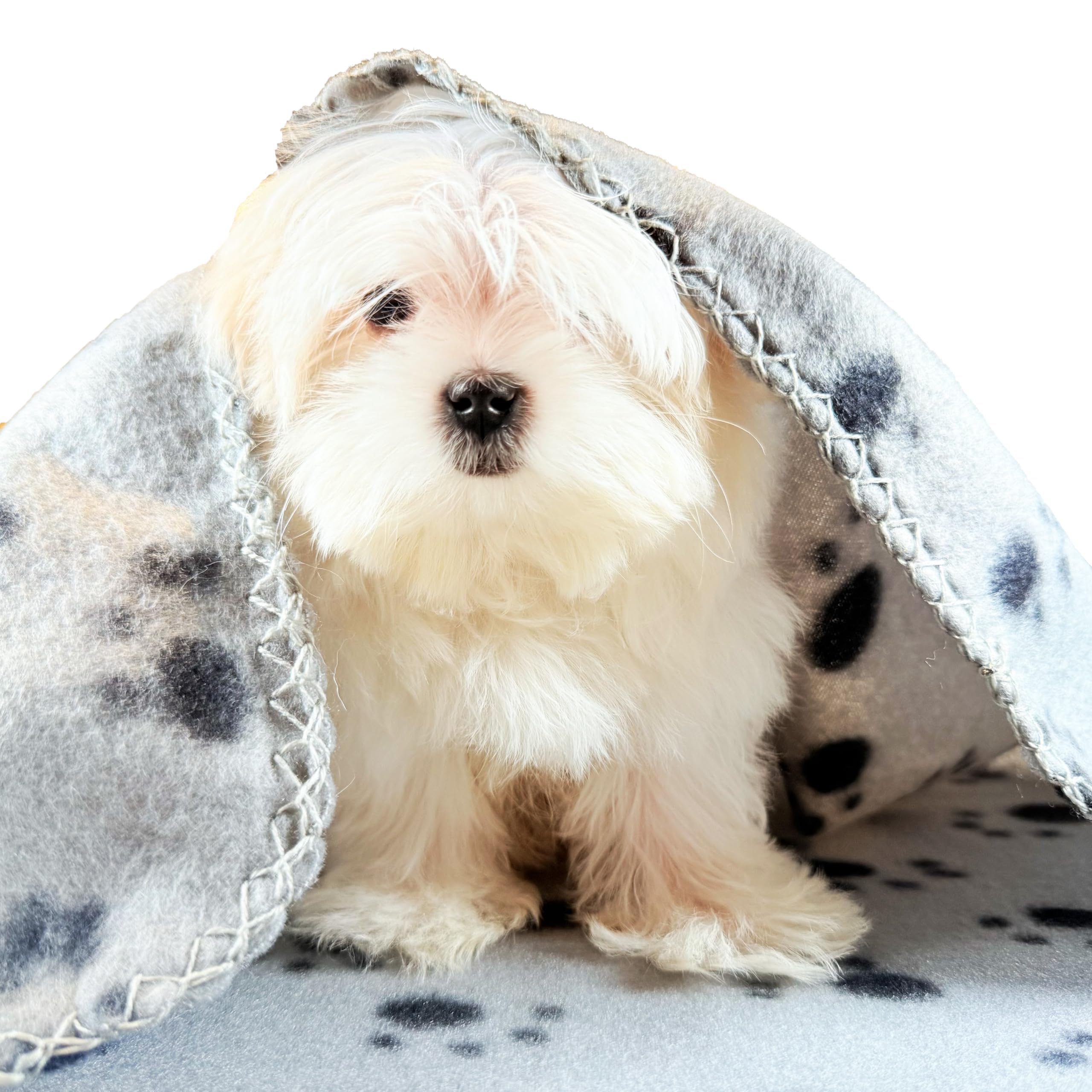 TBK Pets Double-Sided Fleece Pet Blanket, Soft Snuggle Blanket for Dogs and Cats Machine Washable (1 Grey, 28x24/70x60cm) - Image 3