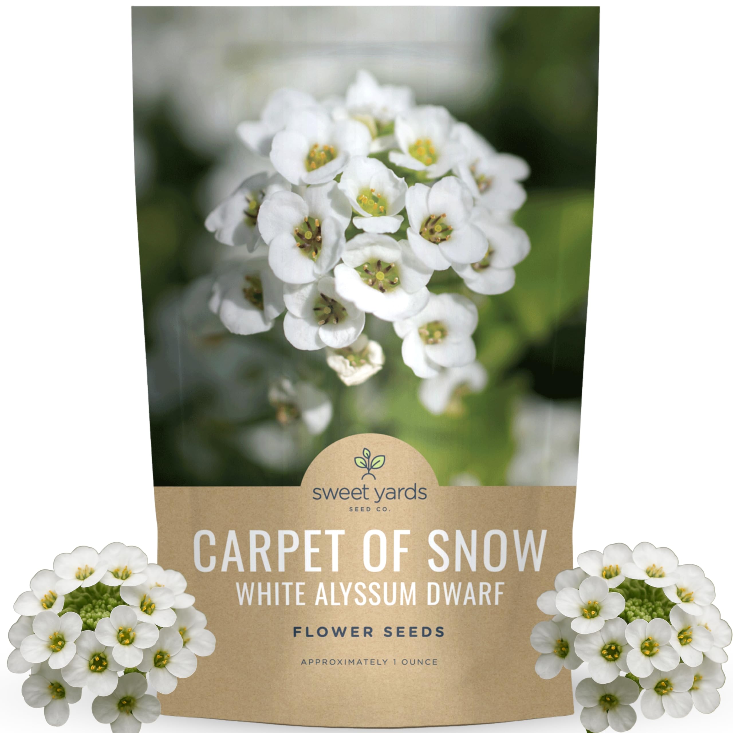 Sweet Yards Alyssum Dwarf White