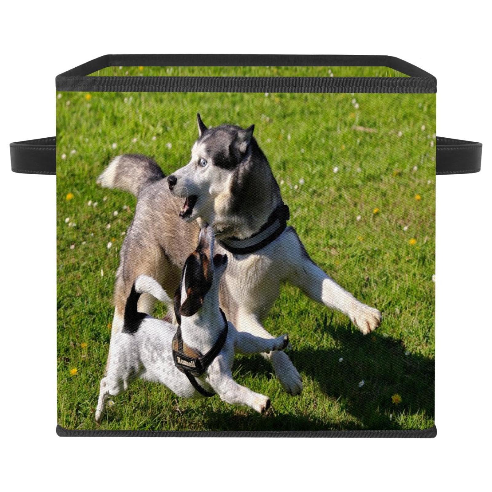 Boîte de rangement pliable en tissu Jouer Husky cube avec poignées pour vêtements et placard