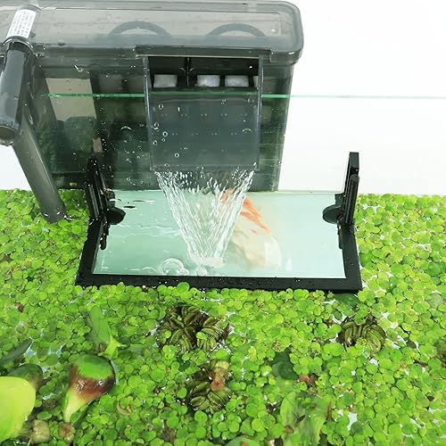 HOZOE Planta flotante para acuario Corral, plantas flotantes que interceptan de filtros y calentadores, altura ajustable con nivel de agua, se puede