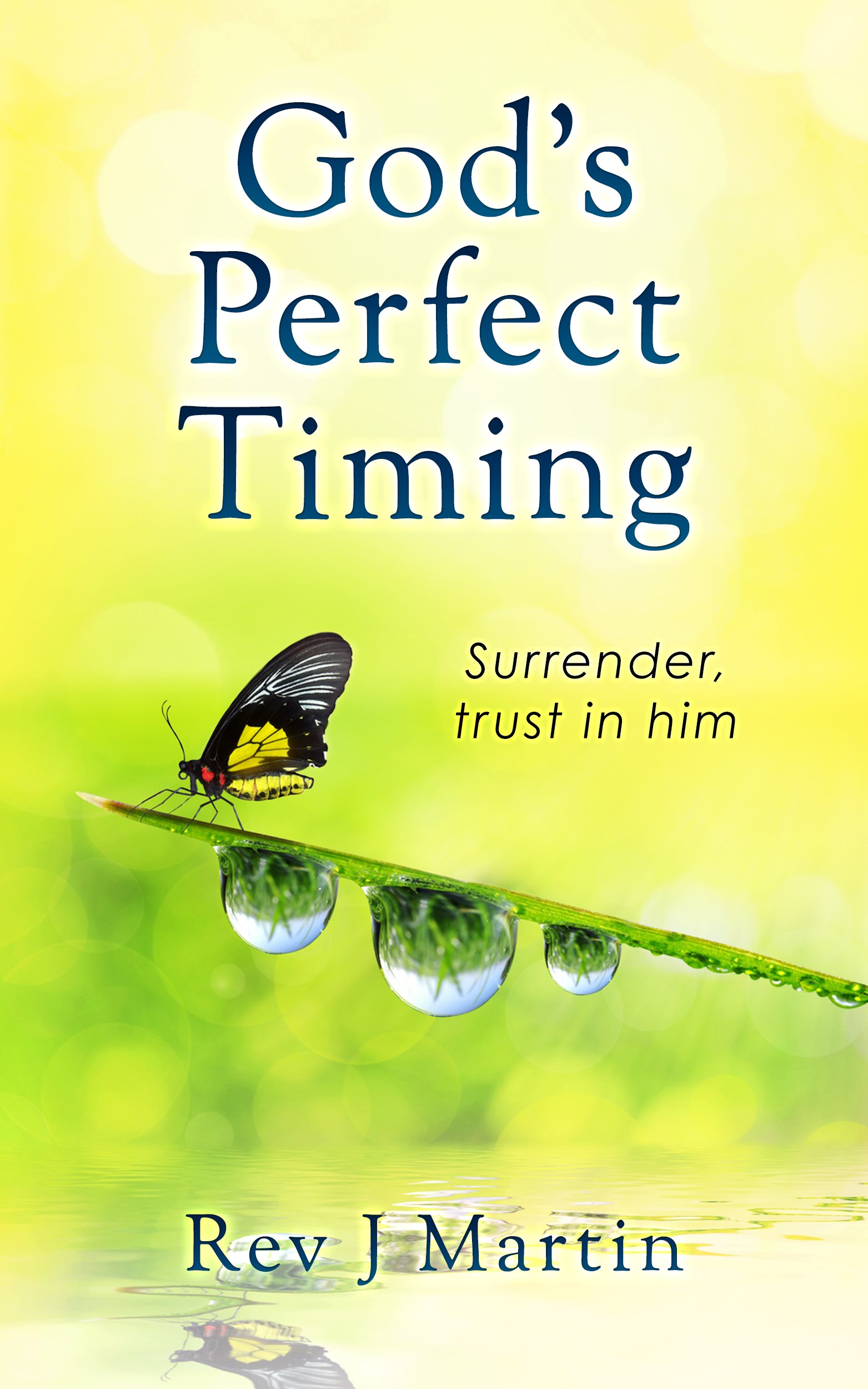 Gods Perfect Timing: Surrender, trust in him. Leave your stressful life behind.