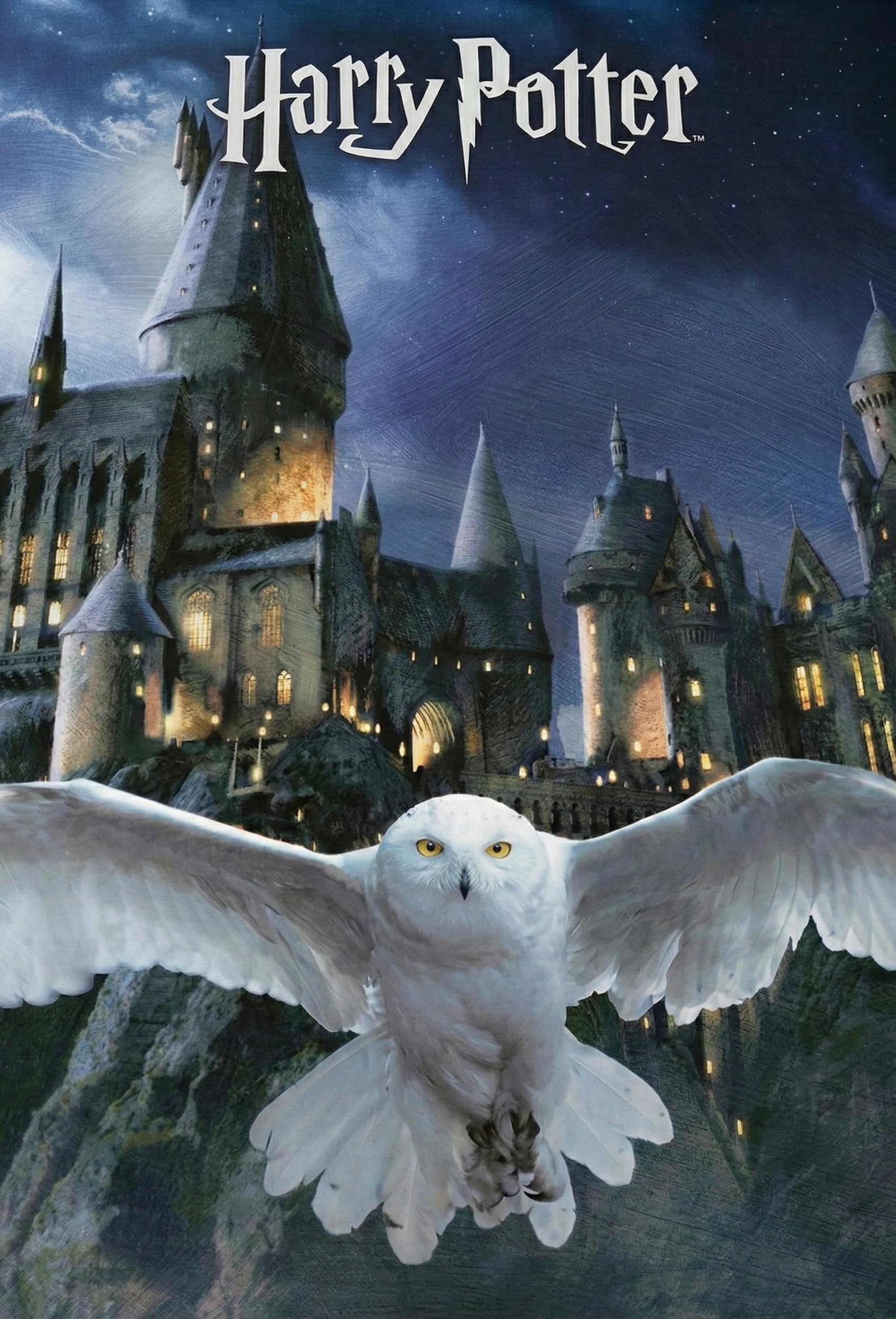 Harry Potter Hogwart Hedwiga Pościel 140x200 + Poszewka 63x63 Miękka Dzieci | Odwracalna pościel jednoosobowa | Miękka mikrofibra | Wizarding World | Nastolatki | Prezent | Do prania w pralce