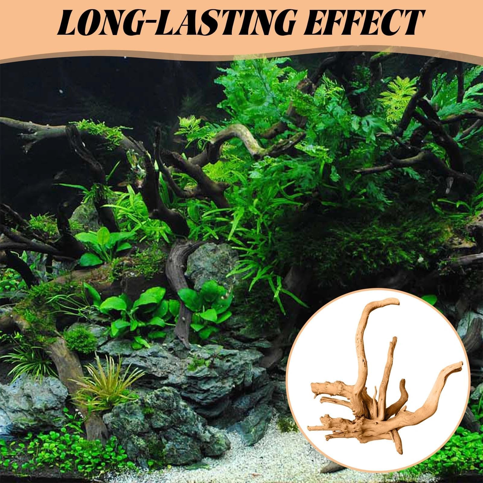 Legno Acquario Tronco 10-20CM Decorazioni Accessori Forma Naturale Immersibile Paesaggio 3D per Pesci Gamberetti