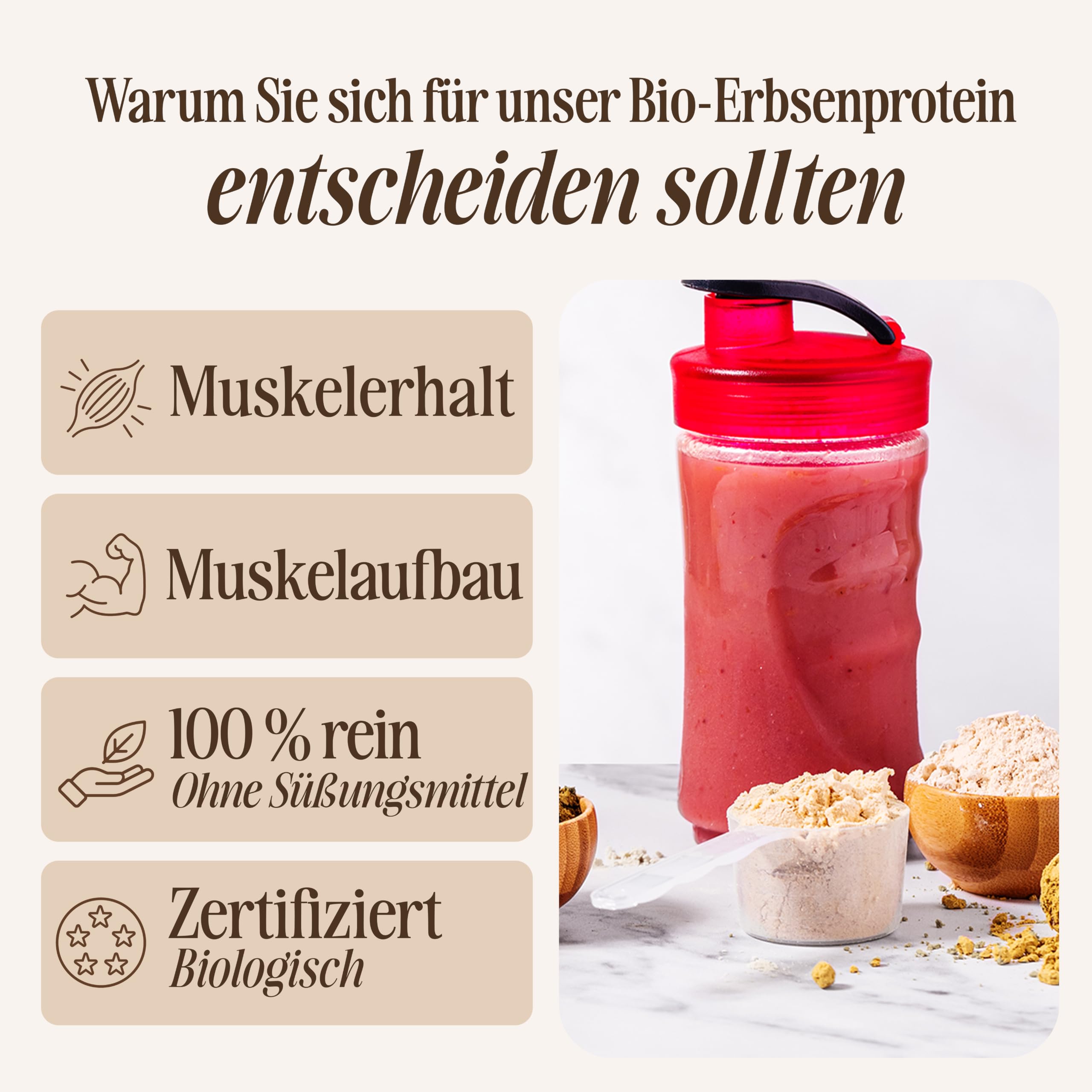 Sevenhills Wholefoods Bio Erbsen Protein Pulver 1.8 kg - 84% Proteingehalt - essentiellen Aminosäuren - Veganes Eiweisspulver - Unterstützt den Muskelaufbau - frei von Süßungsmitteln & Zusätzen