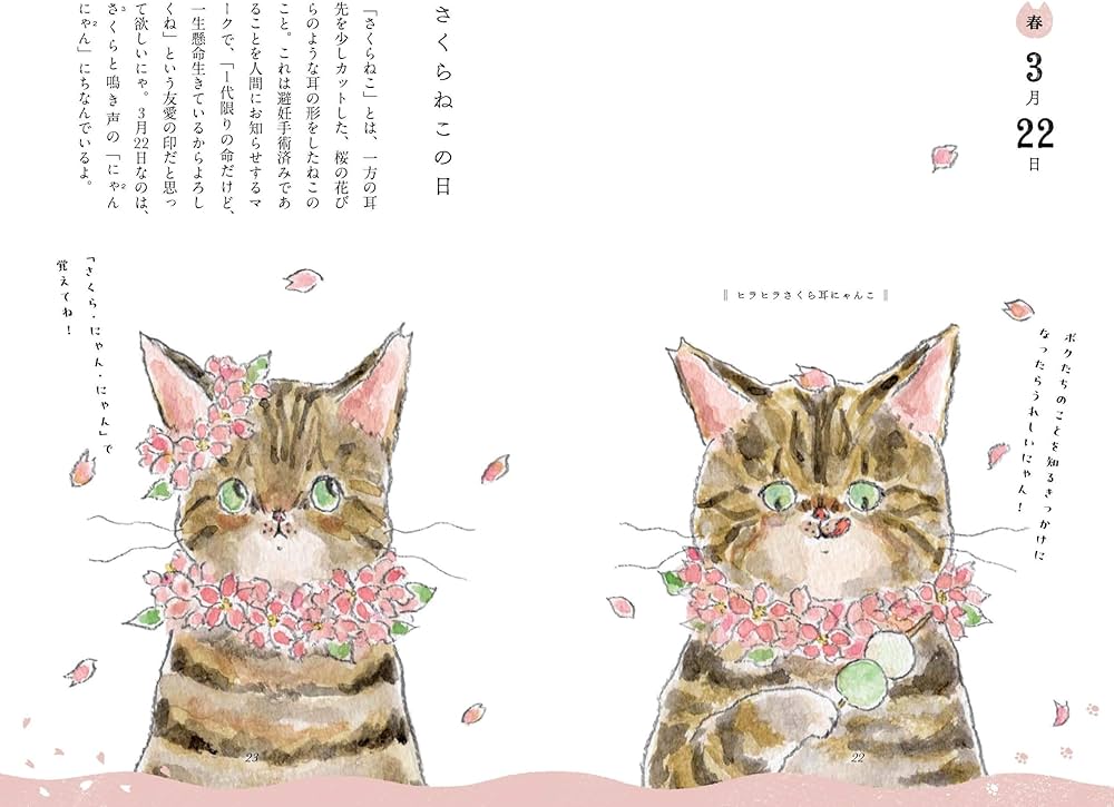 ねこねこページ Amazon.co.jp: ねこねこ春夏秋冬 今日はにゃんの日?: ねこねこ春夏秋冬