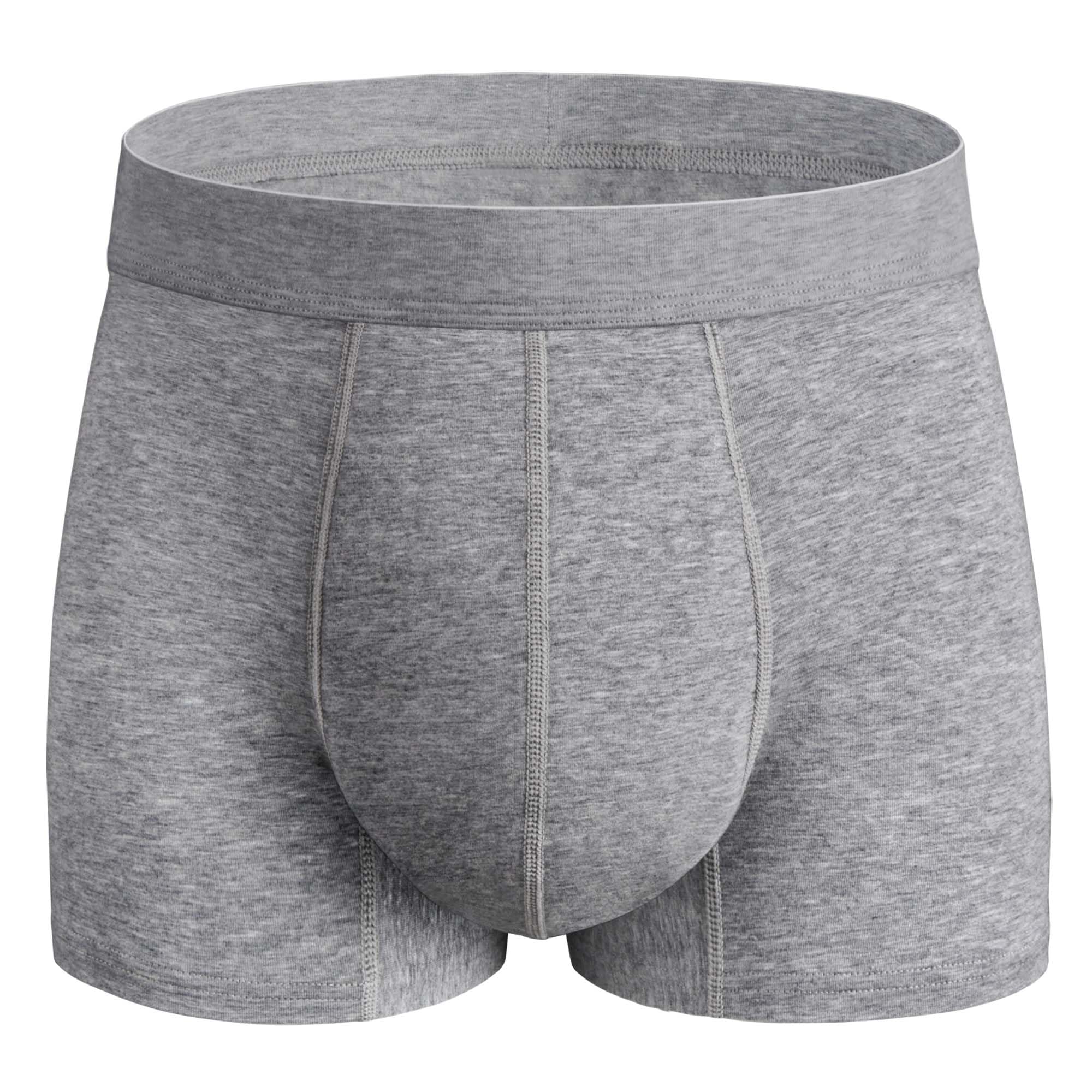 REELINDRY Washable Incontinence Underwear for Men, 2.3 oz Leak Proof Absorbent Protective Briefs for Bladder Control 1 Pack (Gray, 2XL)