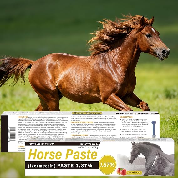 Equine Paste 1.87% 12 Pack (6.08g) Apple Flavored Oral for Horses