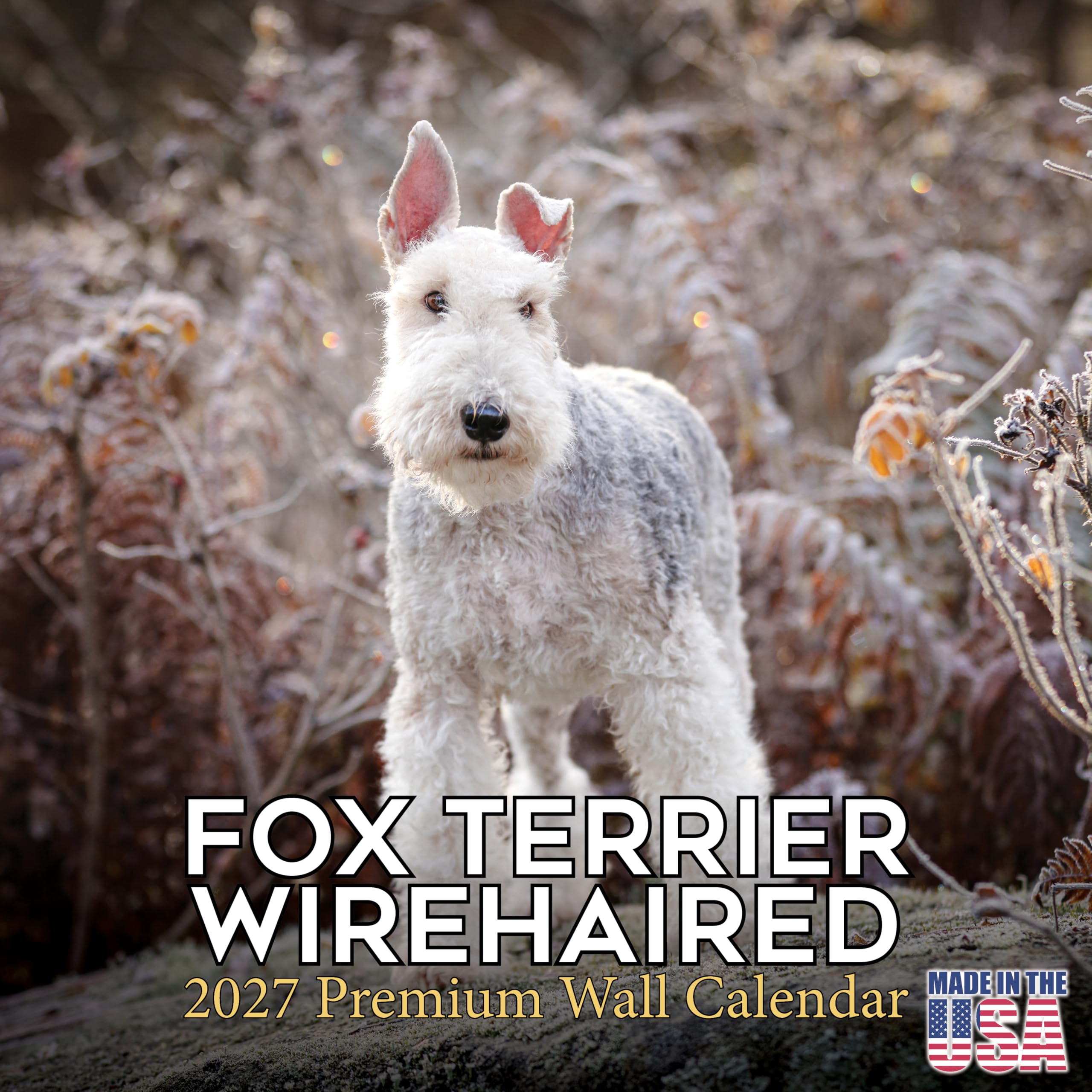 Amazon | Fox Terrier ワイヤーヘアードカレンダー 2027-16-月 12x12