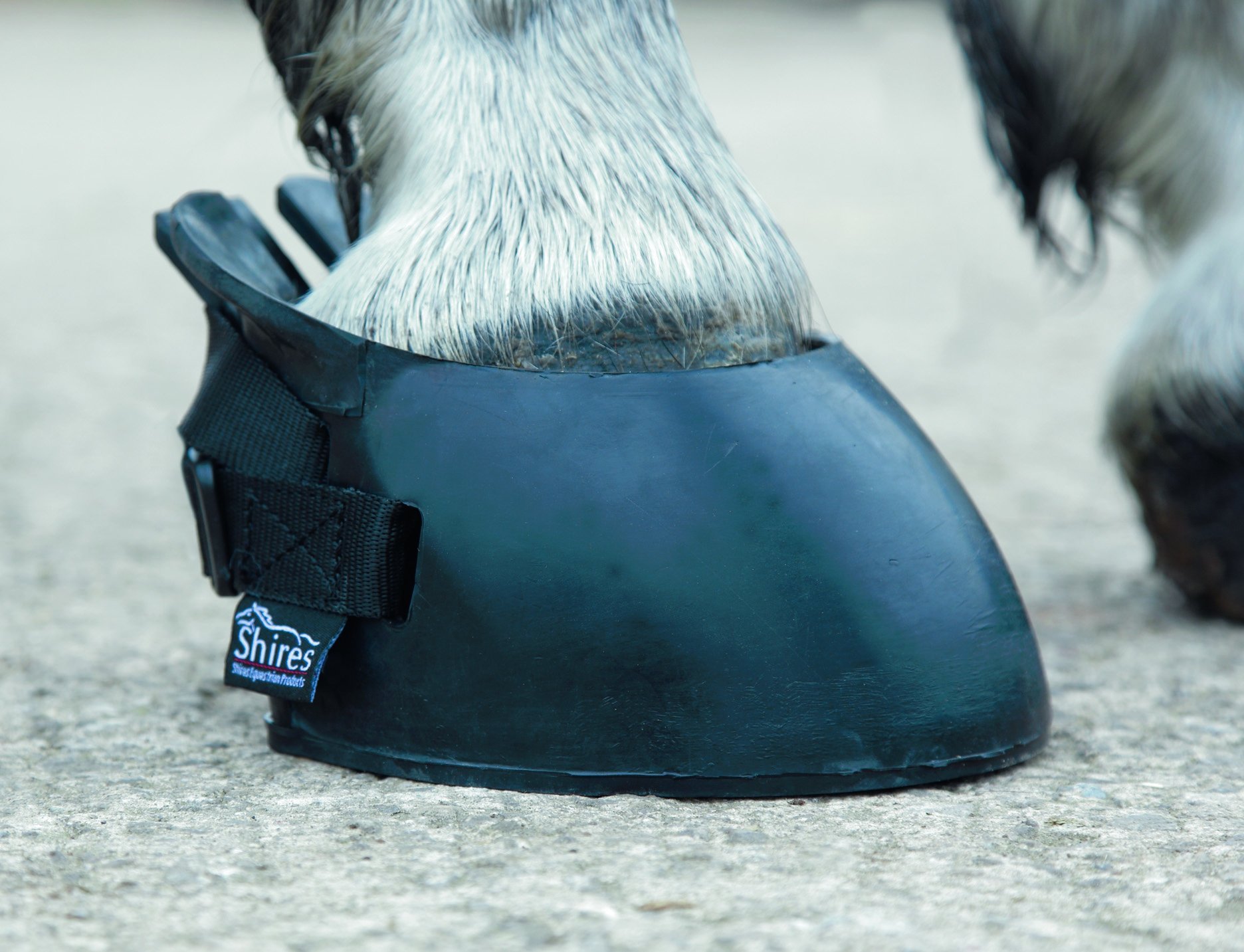 Shires Temporary Shoe Boot-Black 00 (XS)