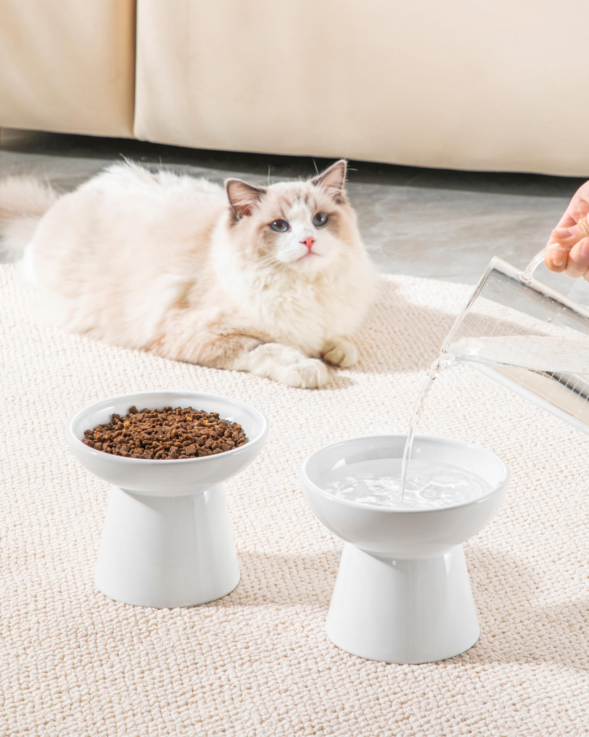 vancasso Ciotole per gatti rialzate, in ceramica, rialzate per cibo e acqua, 15,7 cm, extra larga e poco profonda, per gattini, gatti adulti, cani di piccola taglia, affaticamento dei baffi, senza