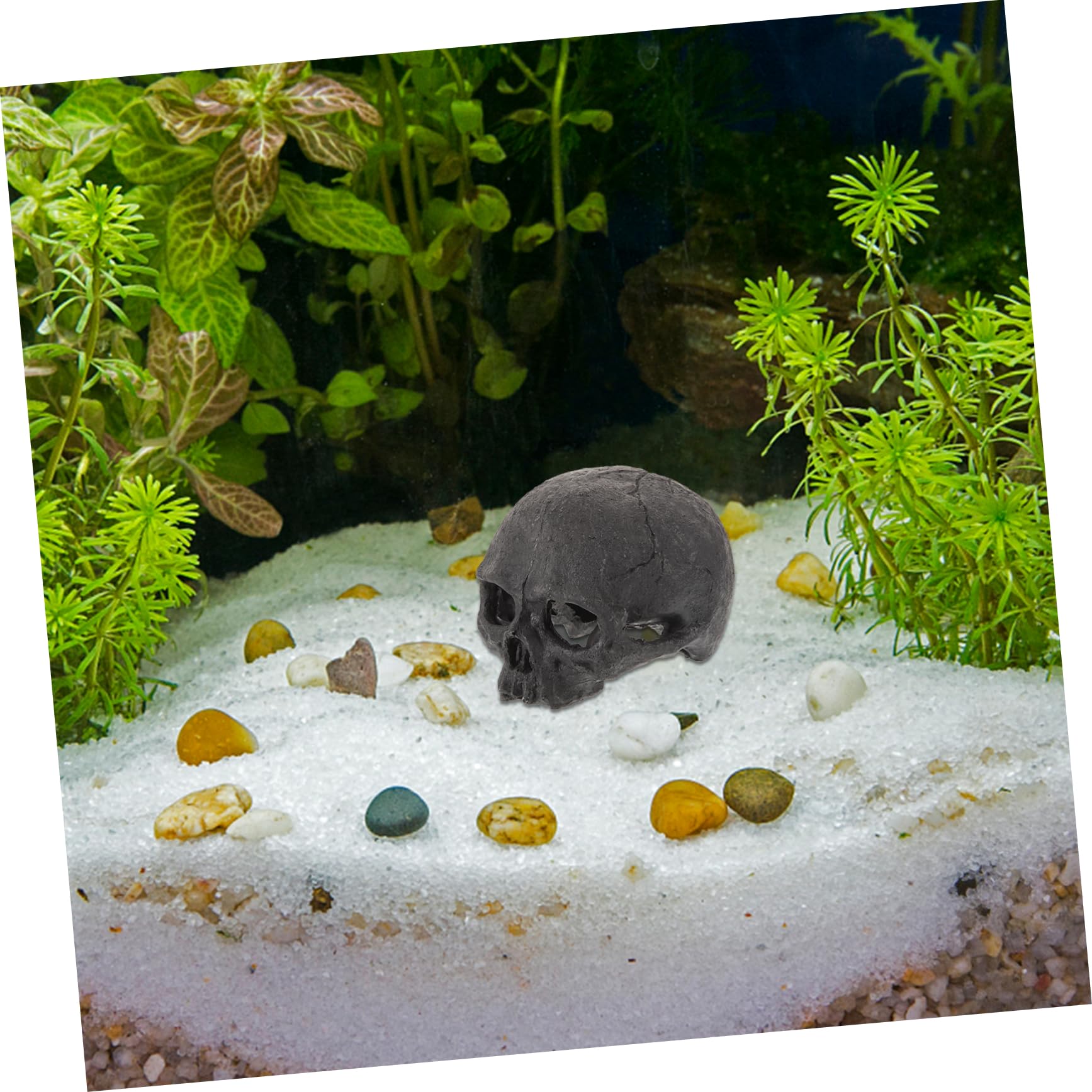 Cabilock 4 Piezas Adornos De Resina De Calavera. Ocultación Decoraciones De La Cueva del Tanque De Peces Decorativo Terrario De Piel De Reptil Decoración Esqueleto para Falso Black