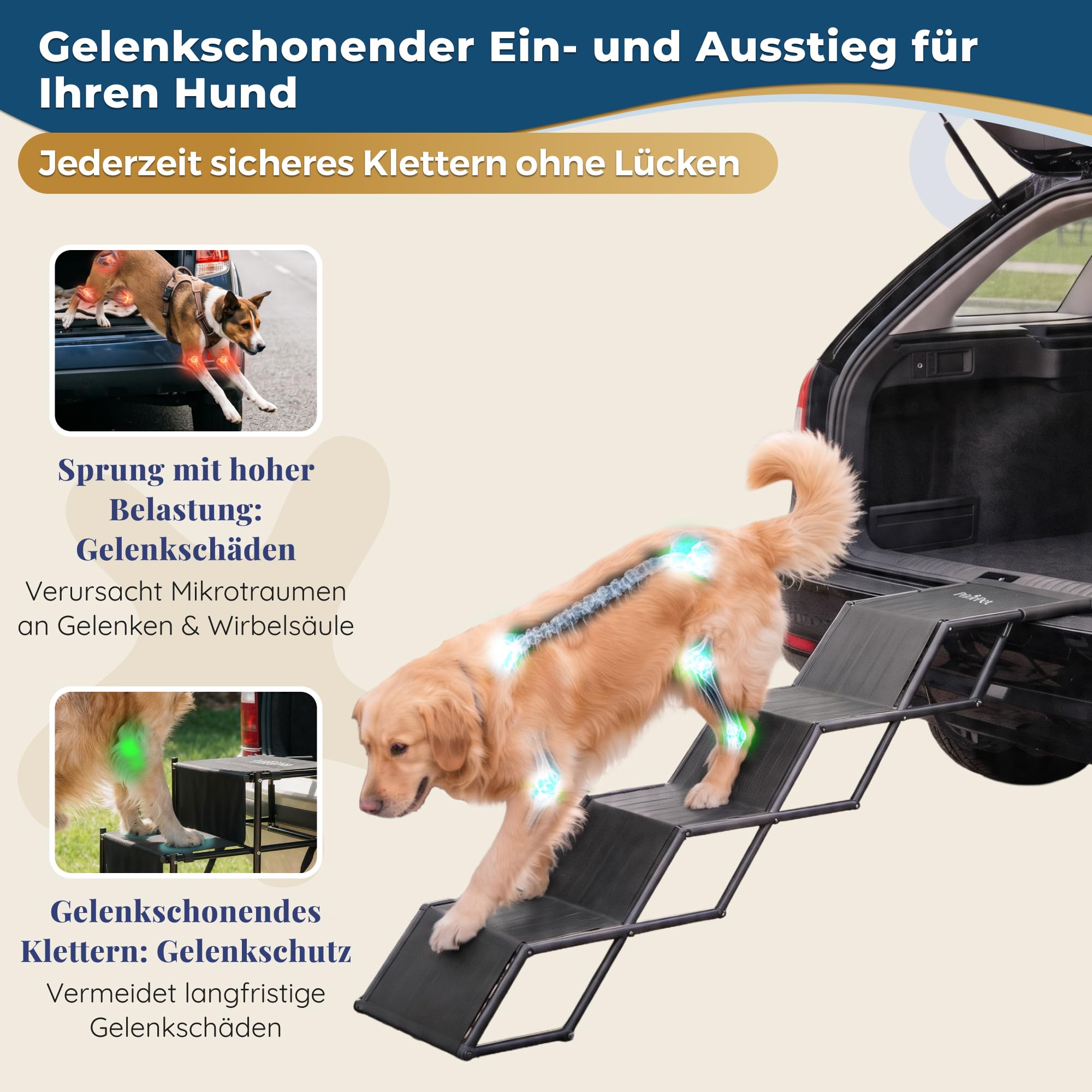 Hundetreppe Auto Klappbar – Leicht & Verstellbar 53–81 cm für SUV & Kombi – Hunderampe Alternative für Große Hunde – Gelenkschonende Einstiegshilfe – Geschlossene Stufen & Anti-Rutsch – Bis 65 kg