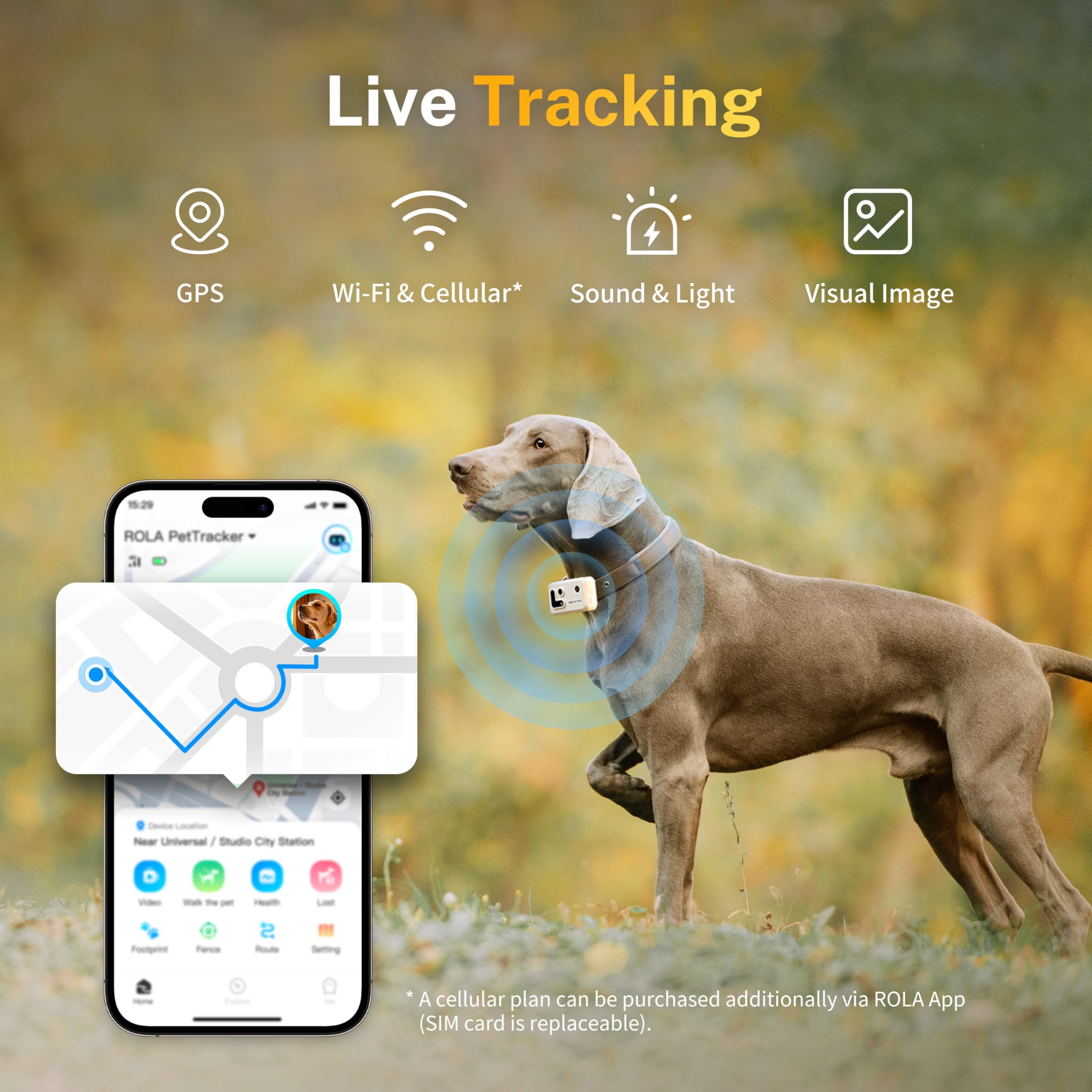 Enabot EBO ROLA PetTracker | GPS per Cani - Localizzatore per Cani con GPS - Tracker di attività - Colore Giallo
