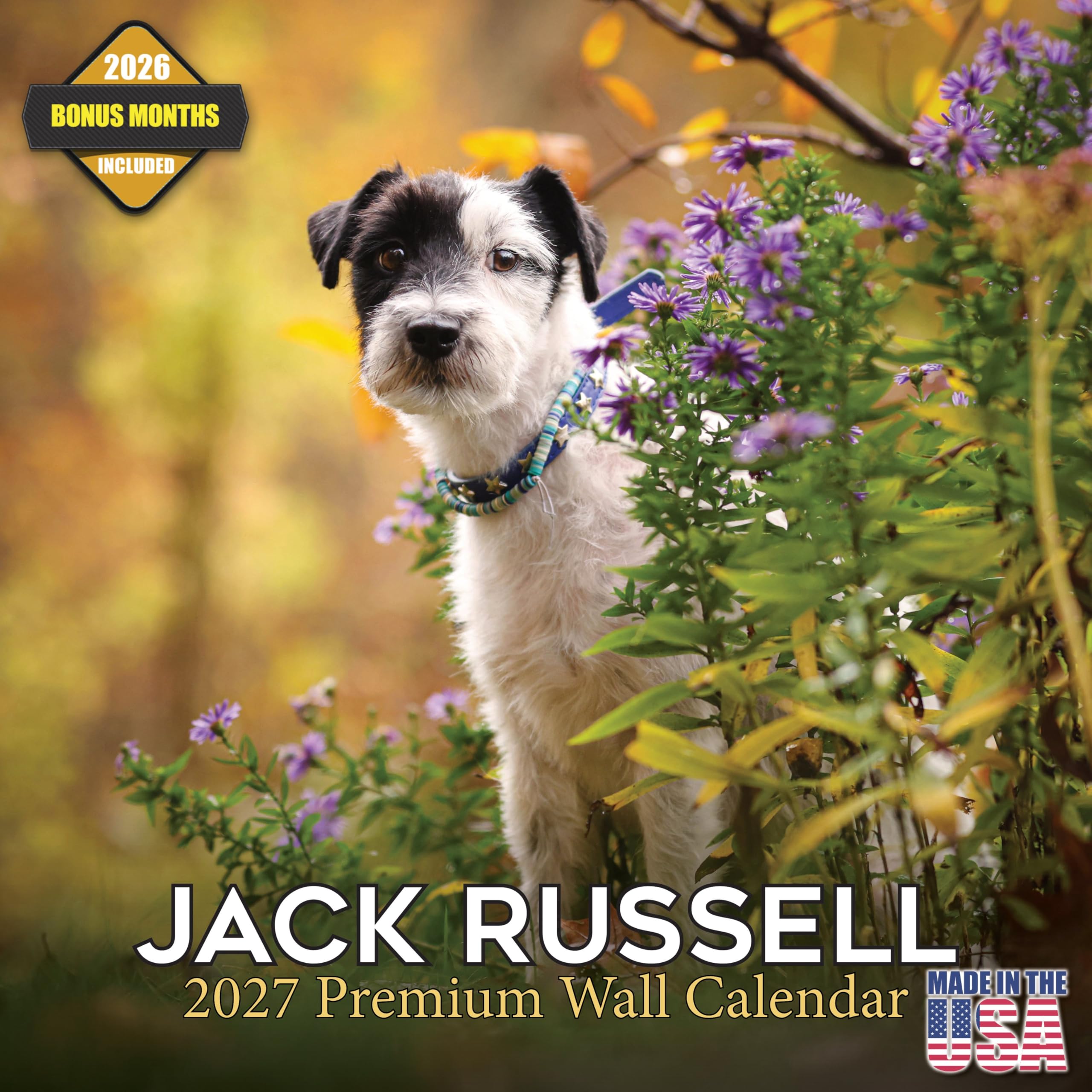 Jack Russell Calendar 2026 2027, 16-Month Jack Russell Terrier Wall — image 1