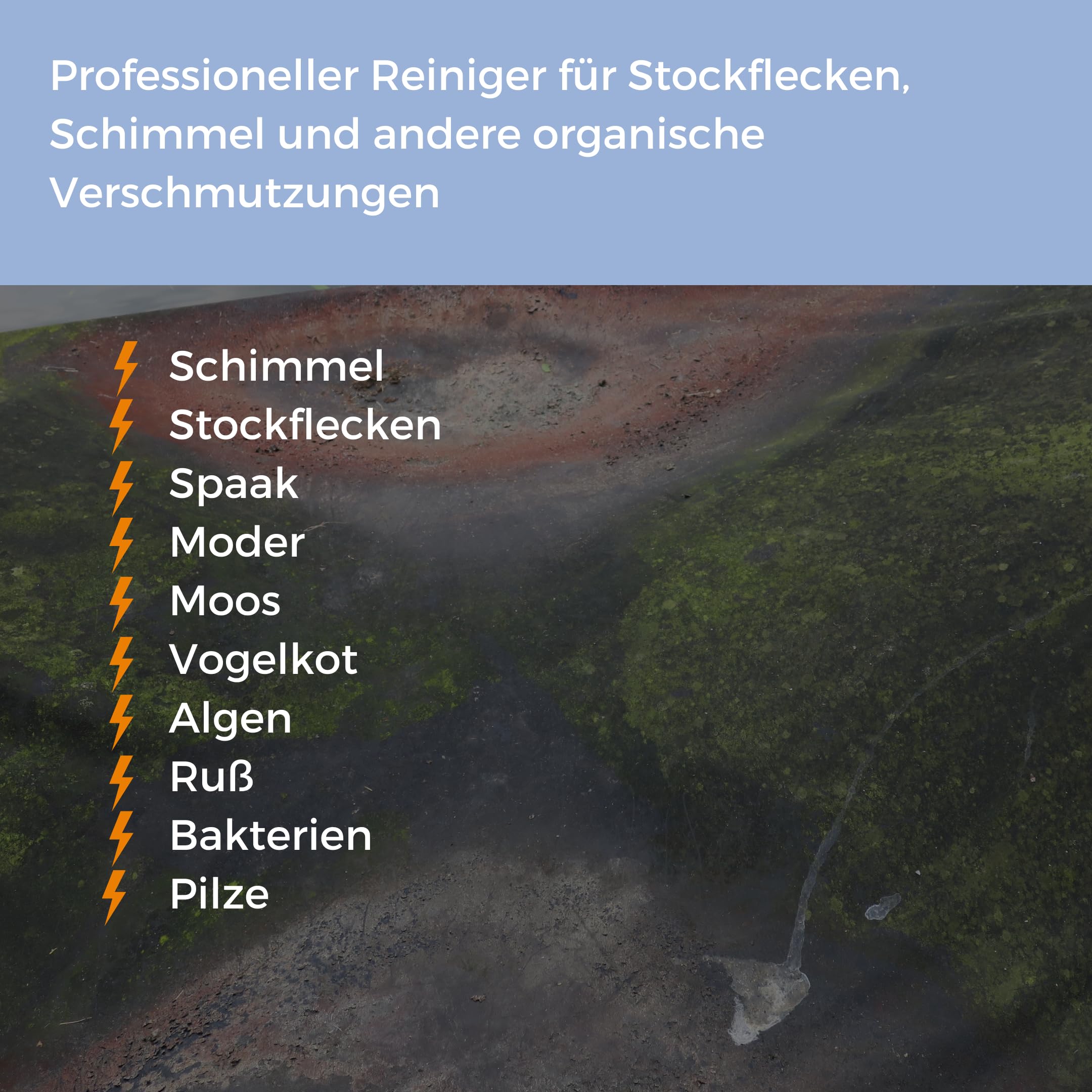 Generisch Schimmalgin Spezial Stockfleckenreiniger 1L Schimmelentferner Stoffe Outdoorstoffe Boot Markise Plane Vogelkot Moder Moos Textilien zahlreiche organische Verschmutzungen