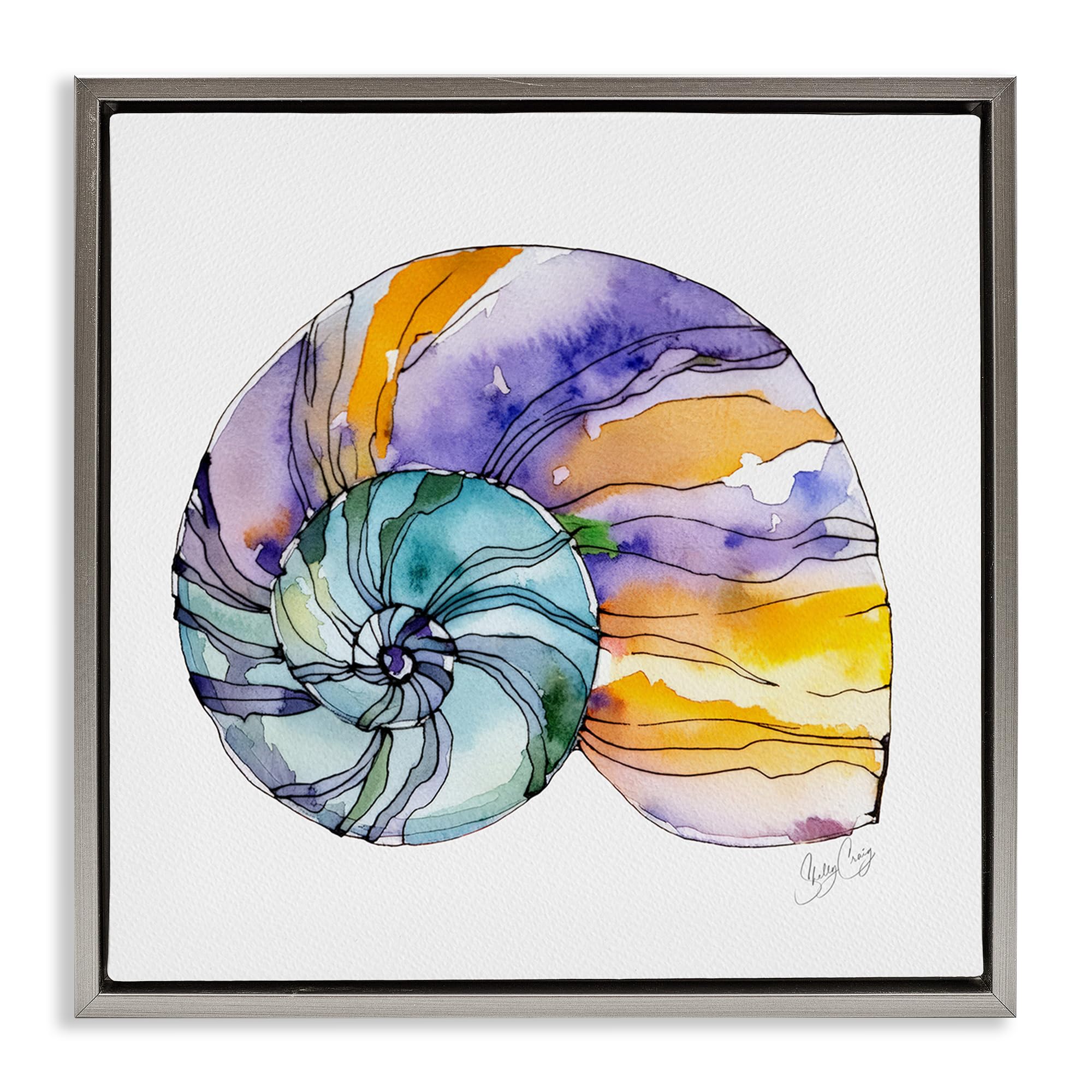 Stupell Industries Luster Gray (Matte) 'Sunlit Striped Nautilus'| Floating Frame Canvas Art