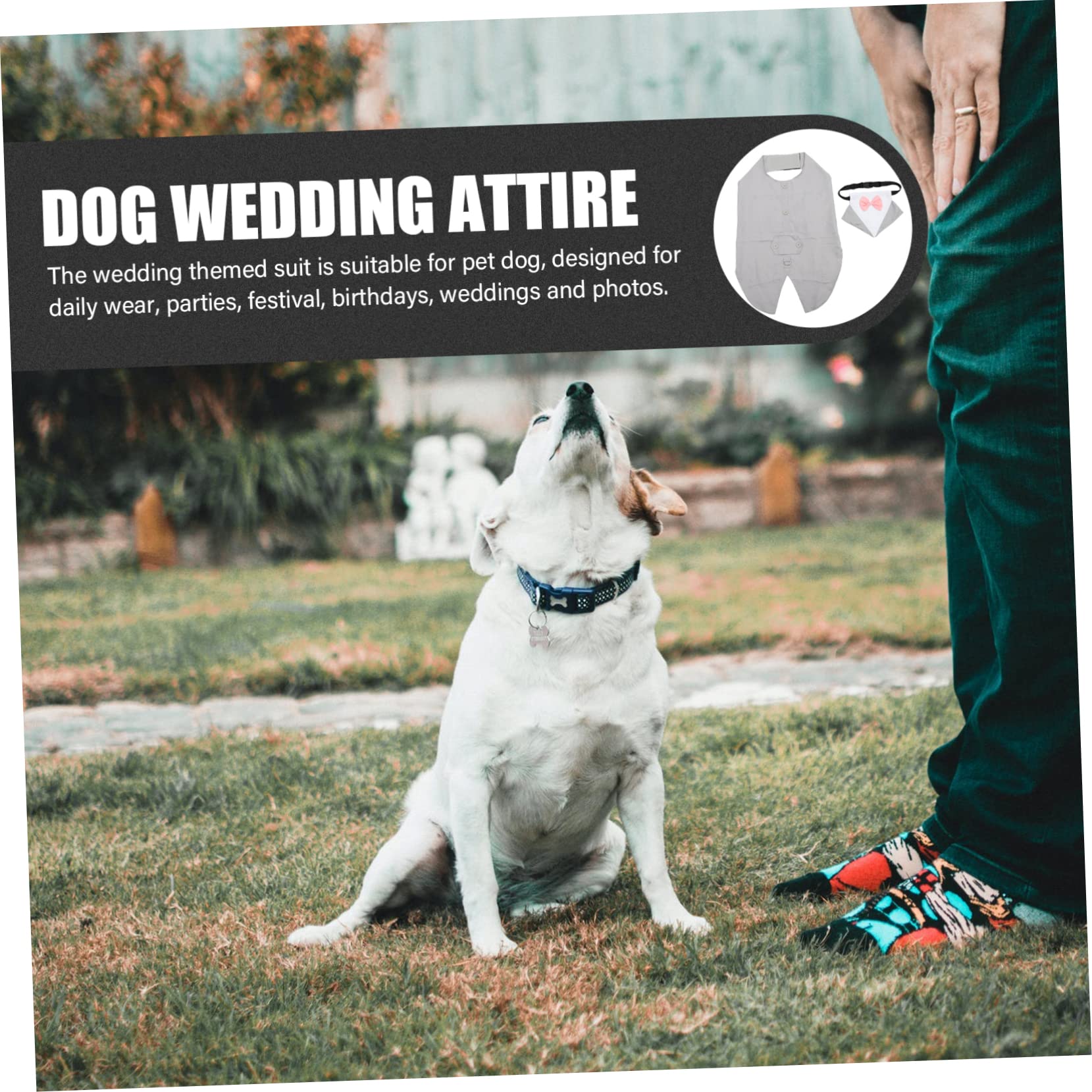 Sosoport 2juegos Disfraz De Boda para Perros Bufanda Triangular Traje De Fiesta para Mascotas Ropa De Boda para Perros Machos Traje Elegante para Mascotas Eventos Especiales