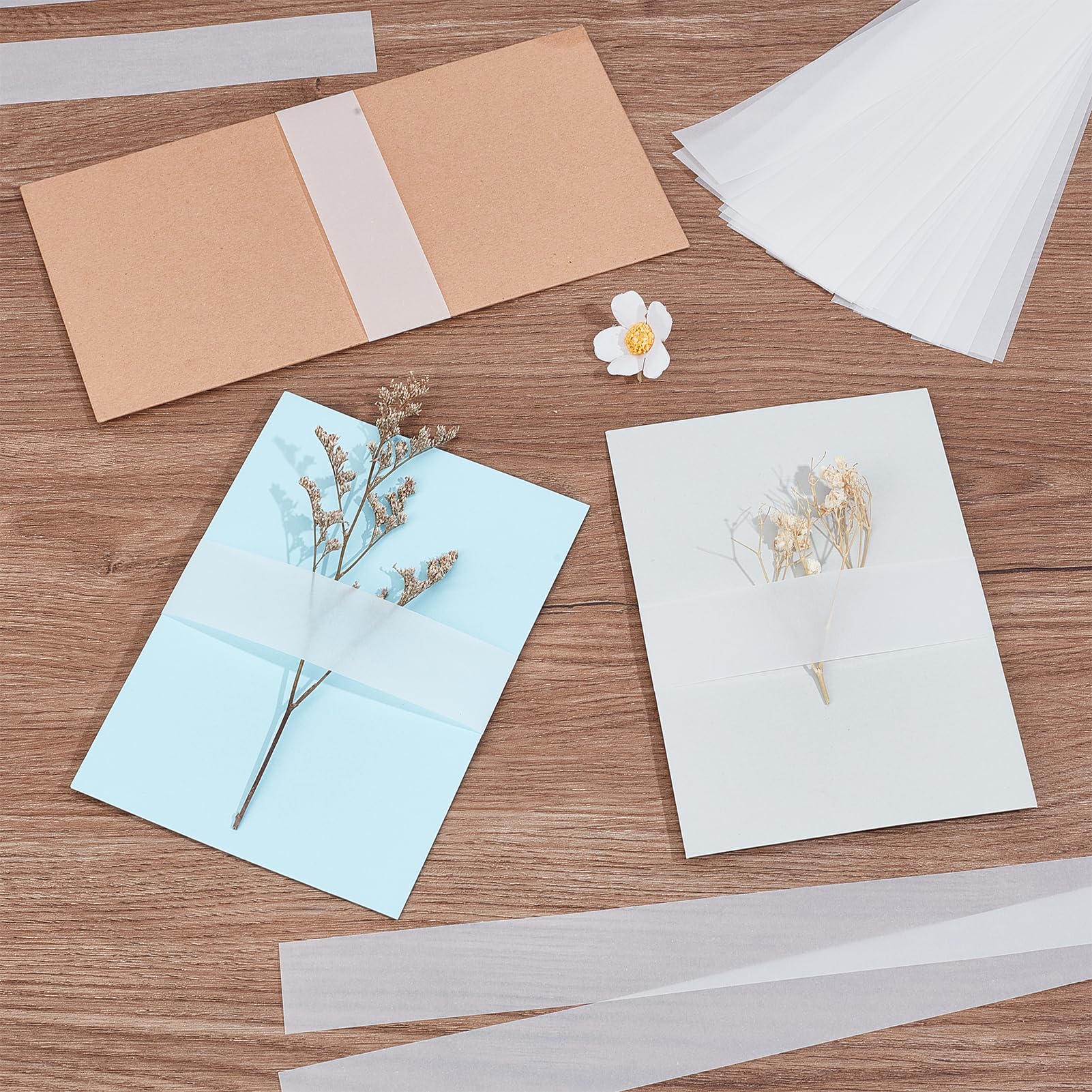 NICENEEDED 200 Pieza de Bandas de Vientre de Vitela de Plástico Transparente, Accesorios para Invitaciones de Boda: Sobres, Envoltorios, Tarjetas