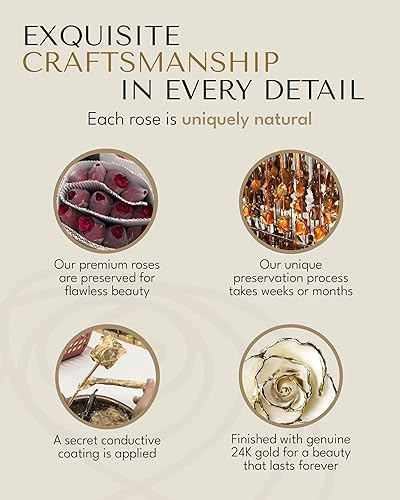 Miniatura 7 de Forever Rose Rosa perla blanca sumergida en oro de 24 quilates la piedra natal de junio una rosa real única y eterna sumergida a mano en oro de 24