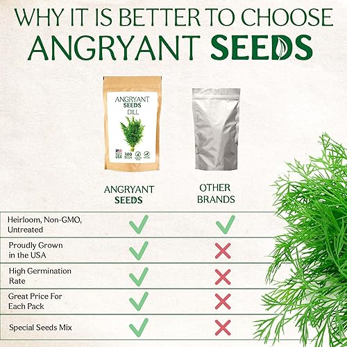 Miniatura 6 de Semillas de eneldo para plantar jardín de hierbas, semillas tradicionales sin OMG, sin tratar, 100% cultivadas en Estados Unidos, fáciles de
