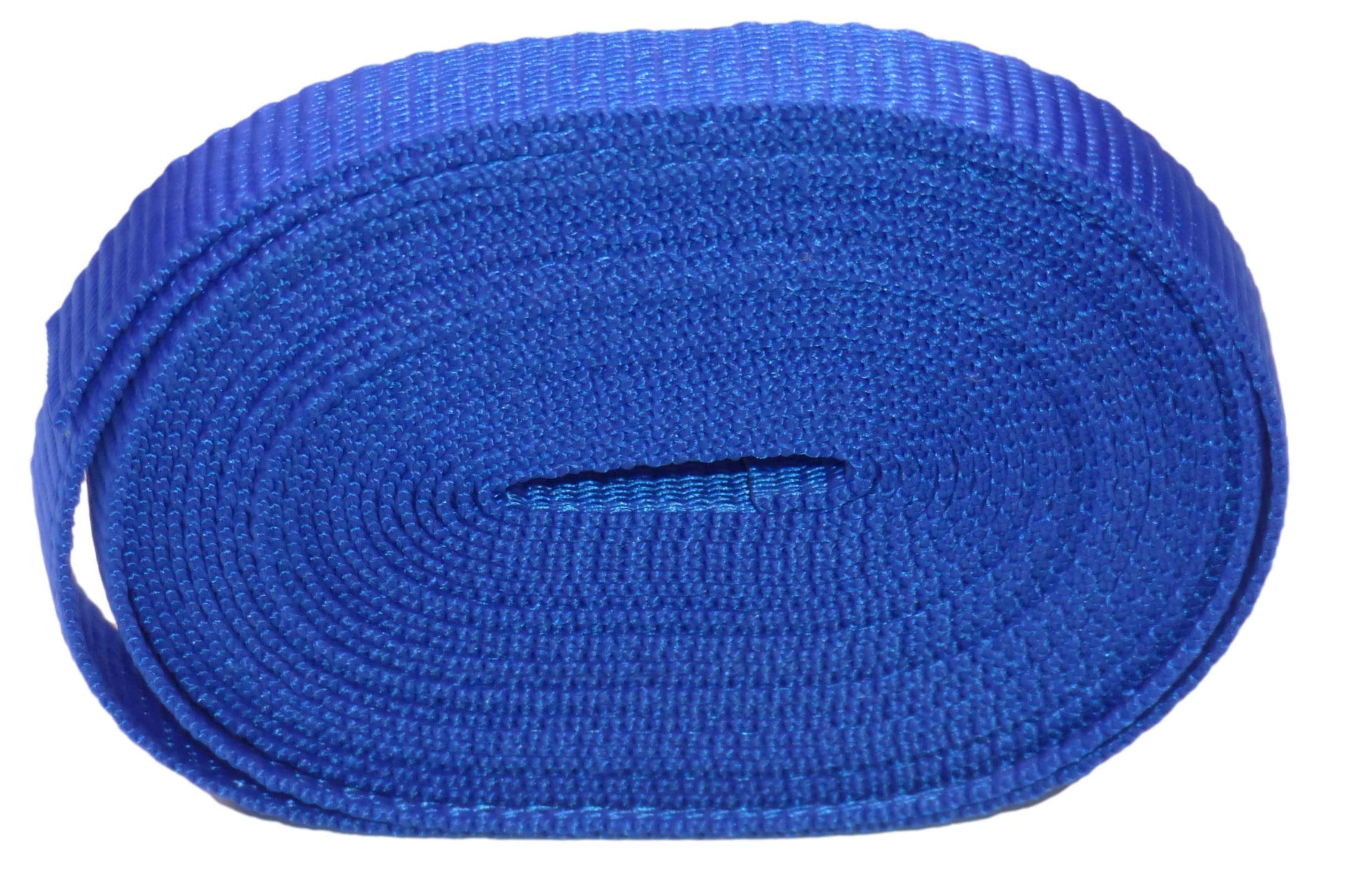 Benristraps 19mm Polypropylene Webbing (blue, 20 metres)