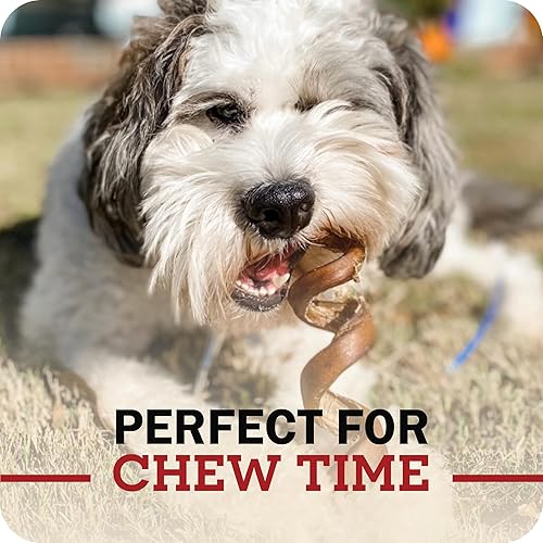 Miniatura 7 de Redbarn Pet Products Naturals 200005 Bully Springs Pet Chew Treat 25 Case, sin olor, talla única