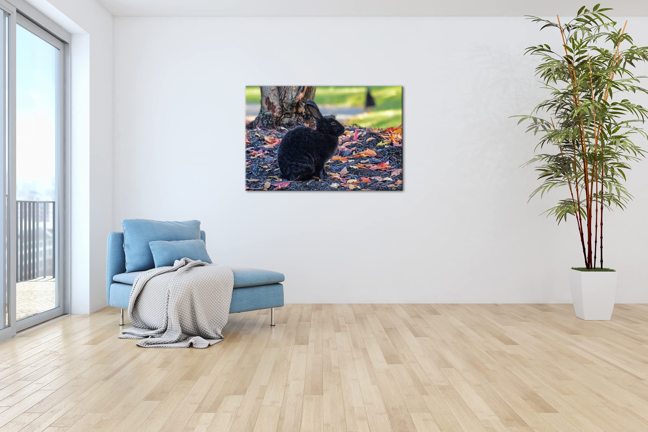 Jan Dibbets - gesigneerde foto met karakteristiek geografisch motief - zeer fraai ingelijst