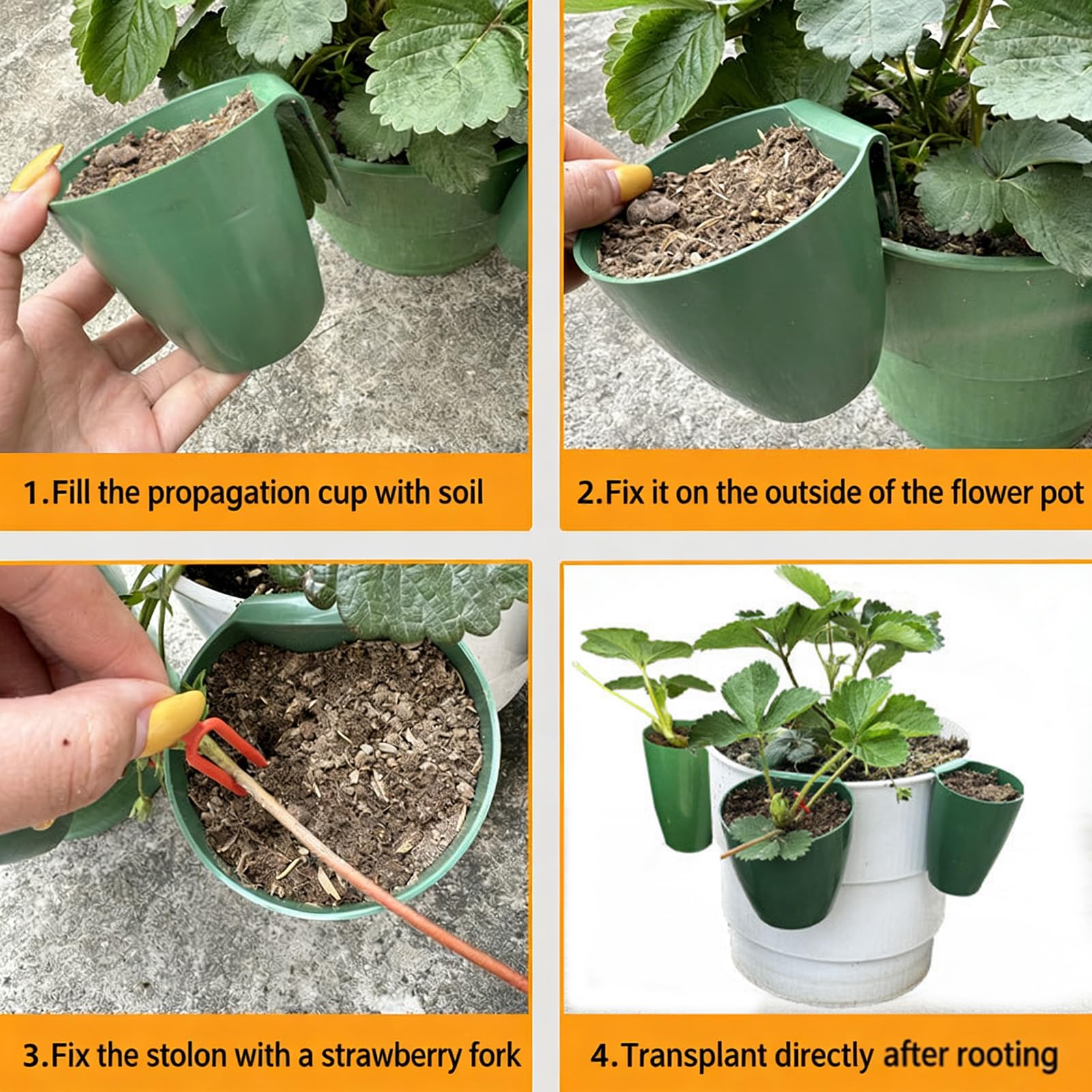 Juego de tazas de propagación de grado alimenticio con agujeros de aireación y tenedores de corredor para plántulas de fresa en varios entornos, vasos de drenaje