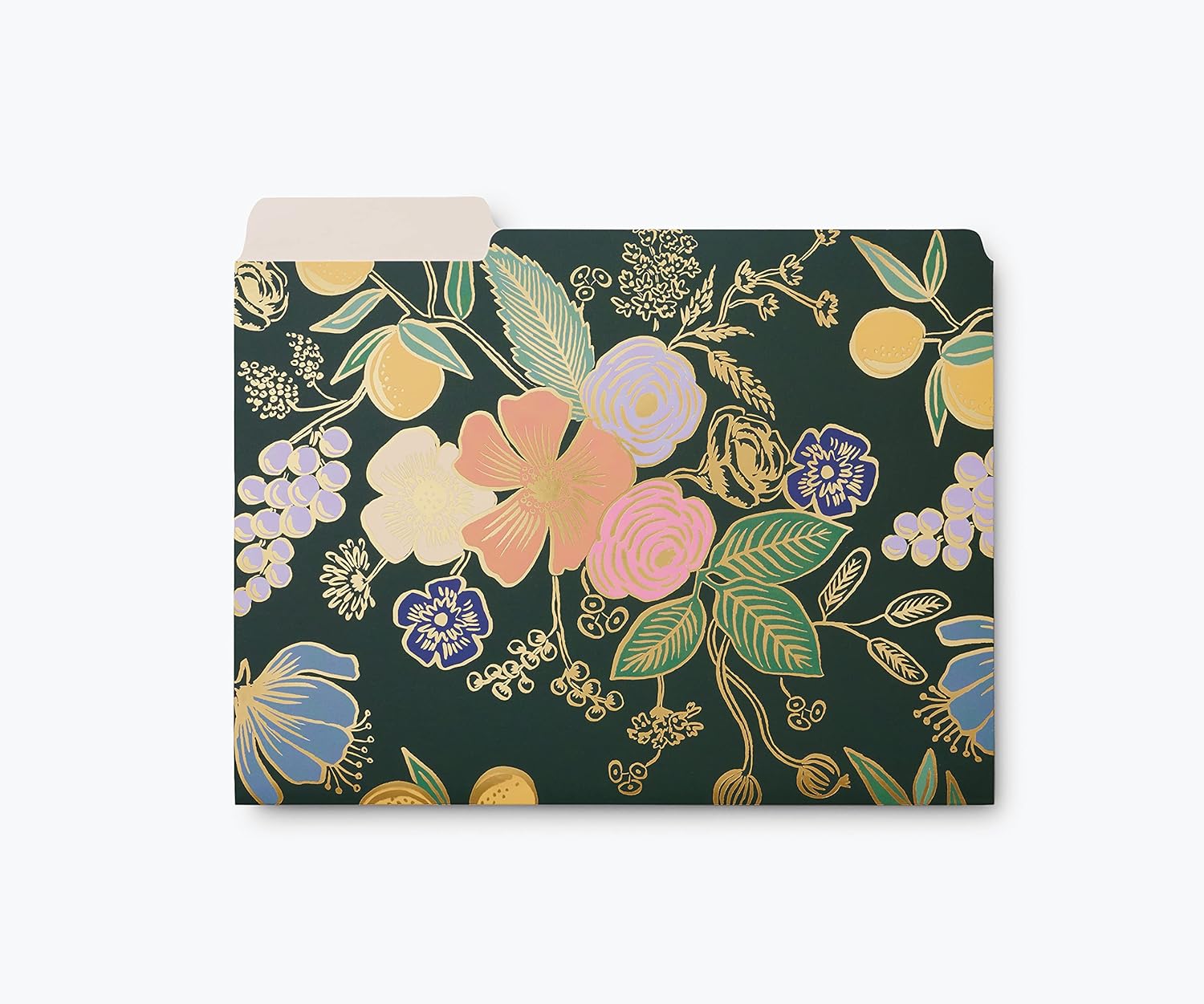 RIFLE PAPER CO. File Folders Set of 6 Organize in Style